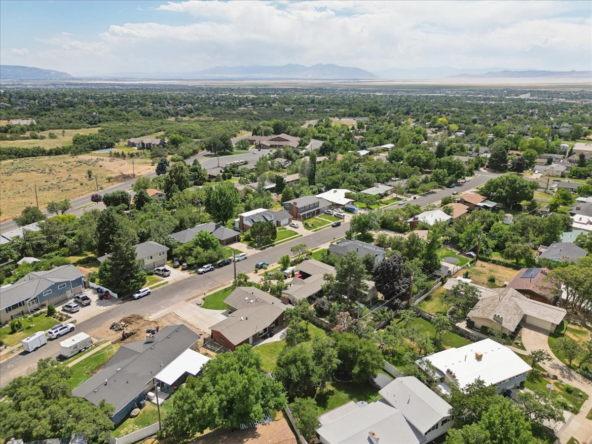 Expansive aerial perspective showcasing a residential neighborhood with mature tree coverage
