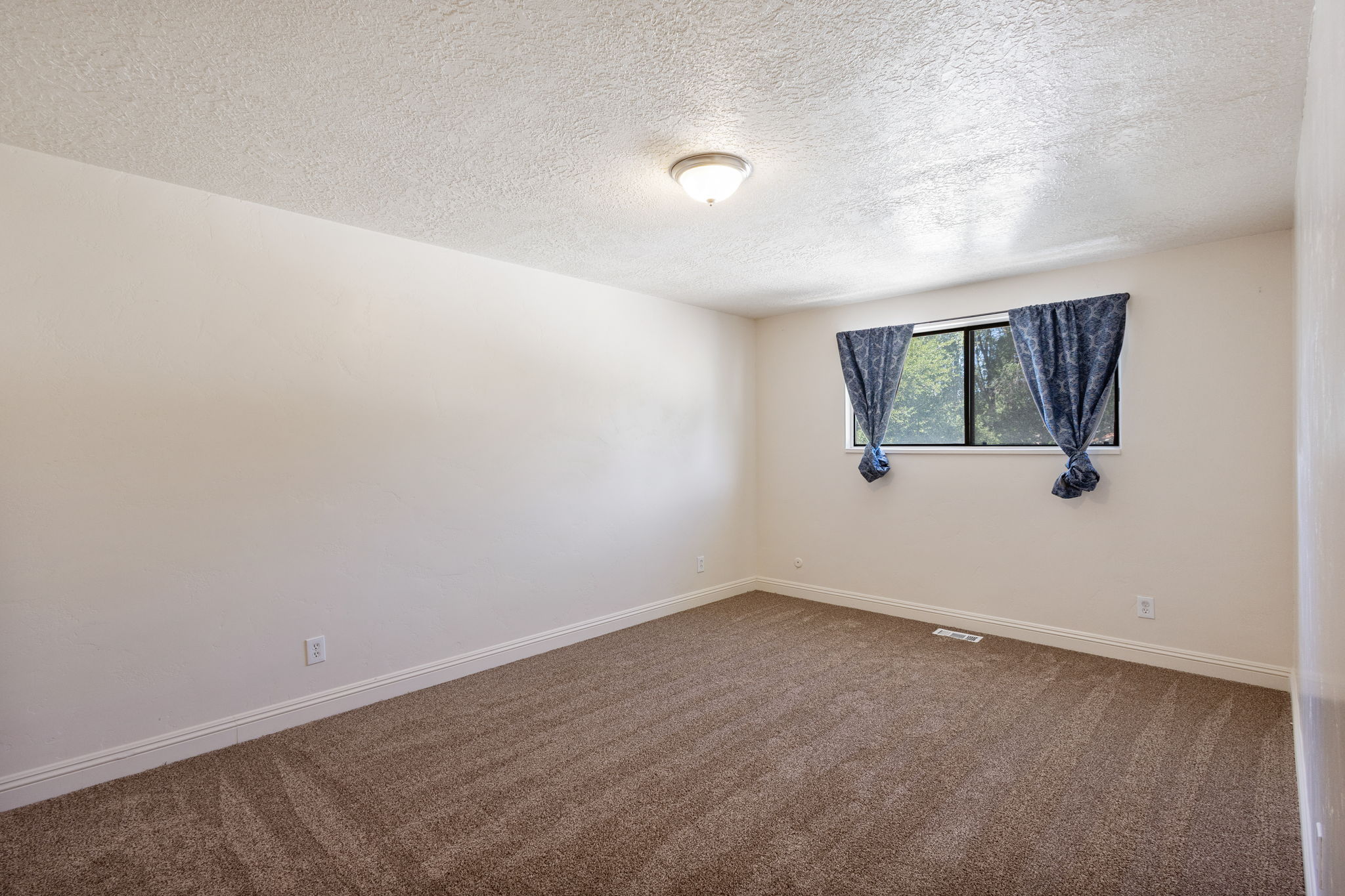 Carpeted room featuring a window with exterior tree scenery, white baseboards, and a ceiling-mounted light fixture