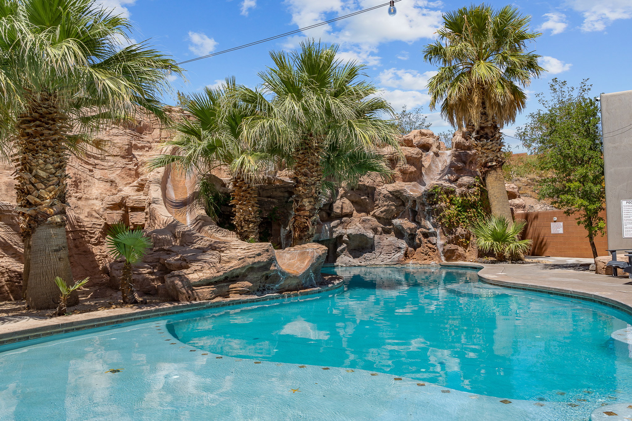 Custom-shaped pool featuring rock landscaping with integrated waterfall, multiple palm trees, and a decorative sun shelf
