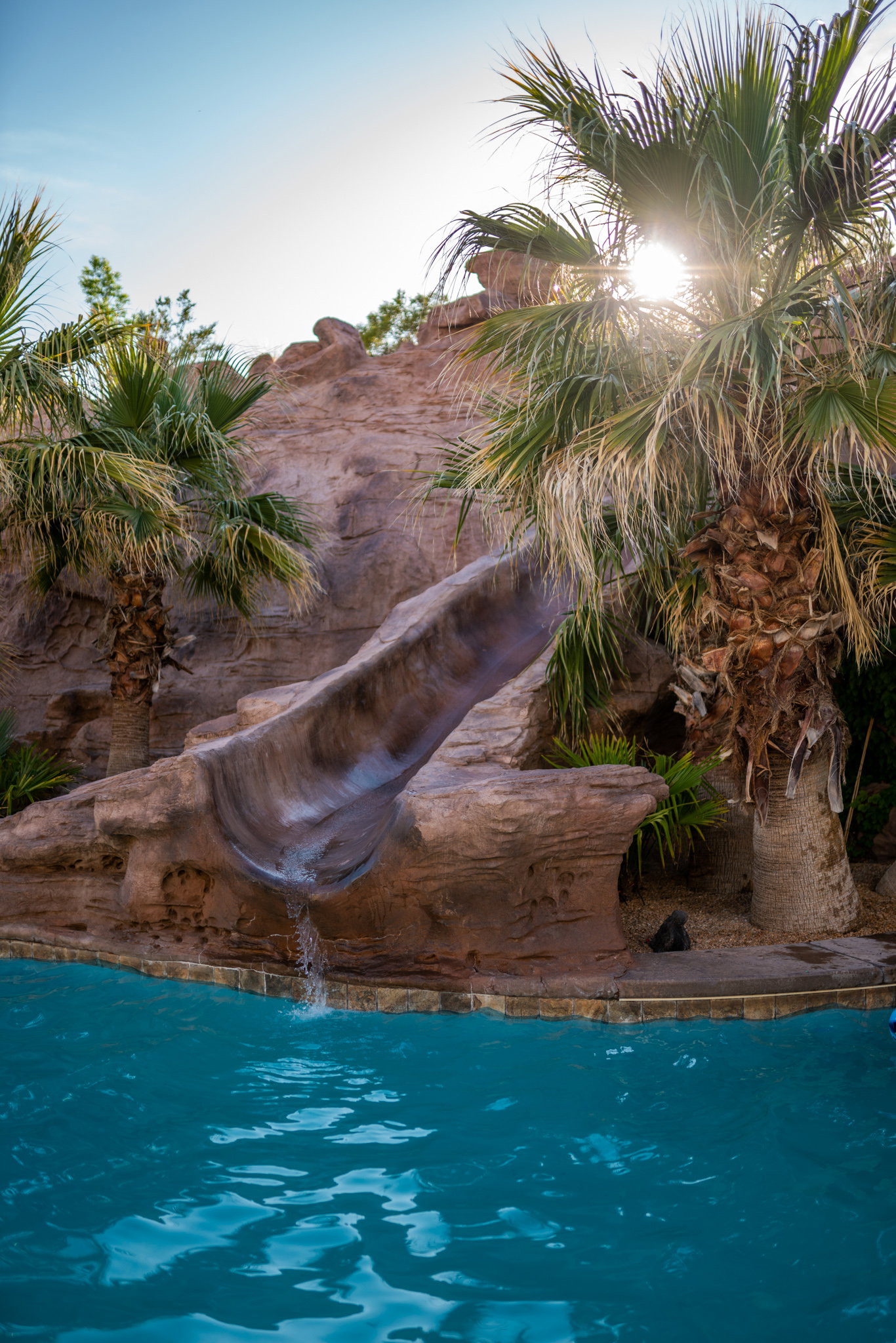 Swimming pool featuring a rock-grotto slide and water feature, framed by mature palm trees