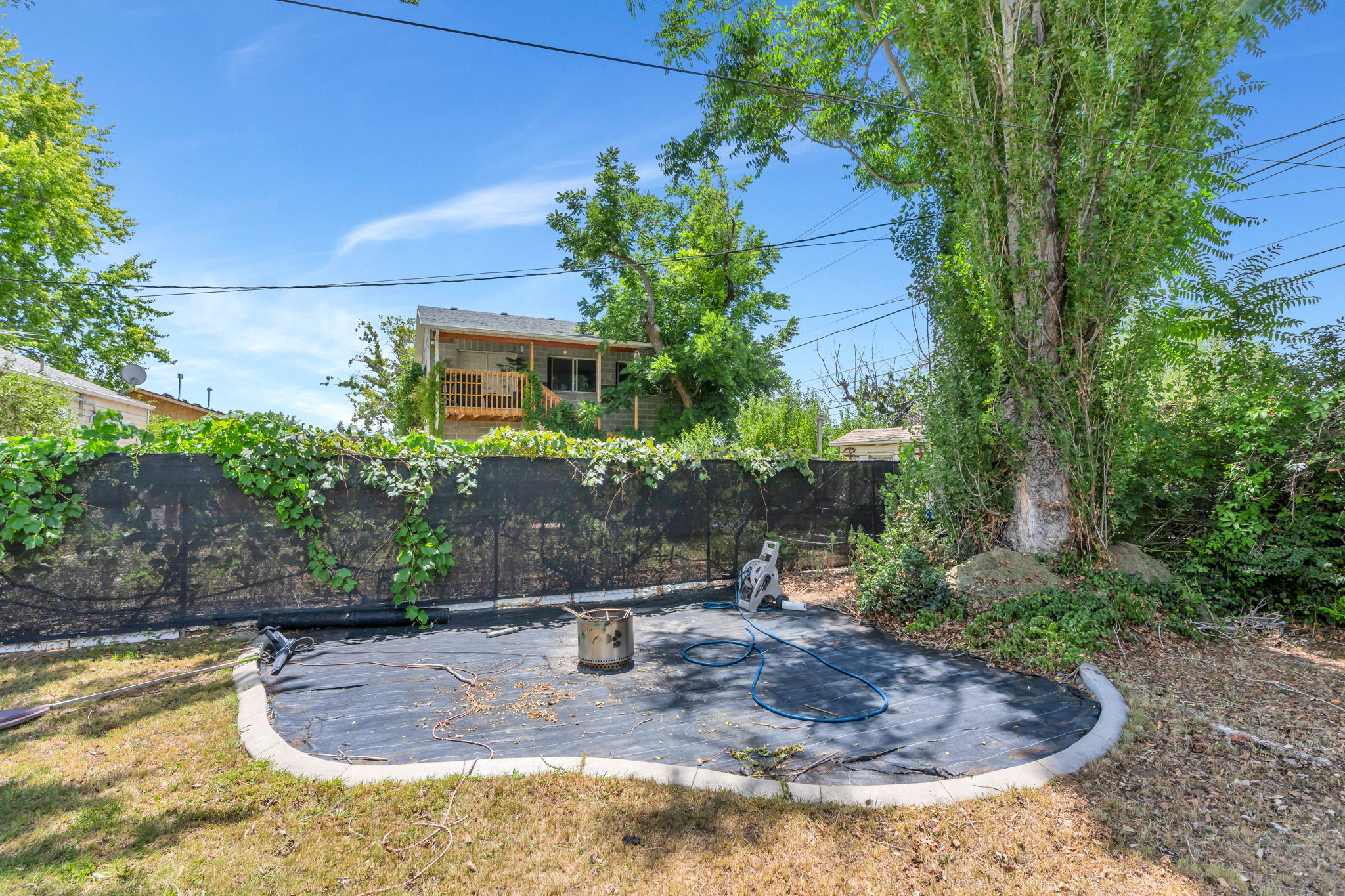 Curved concrete patio area framed by a black mesh fence with climbing greenery