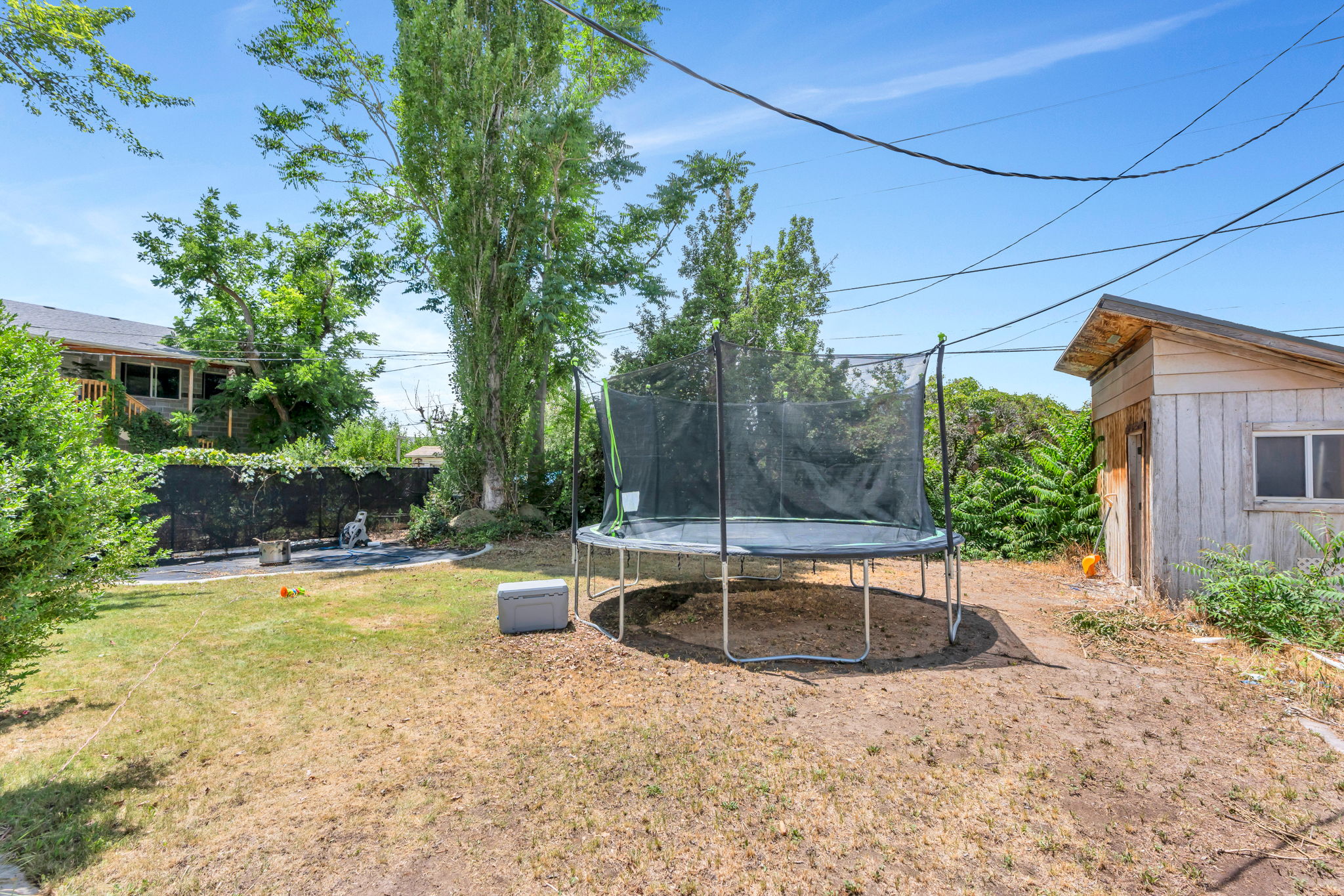 Expansive outdoor area featuring a storage shed with wood siding and a single window