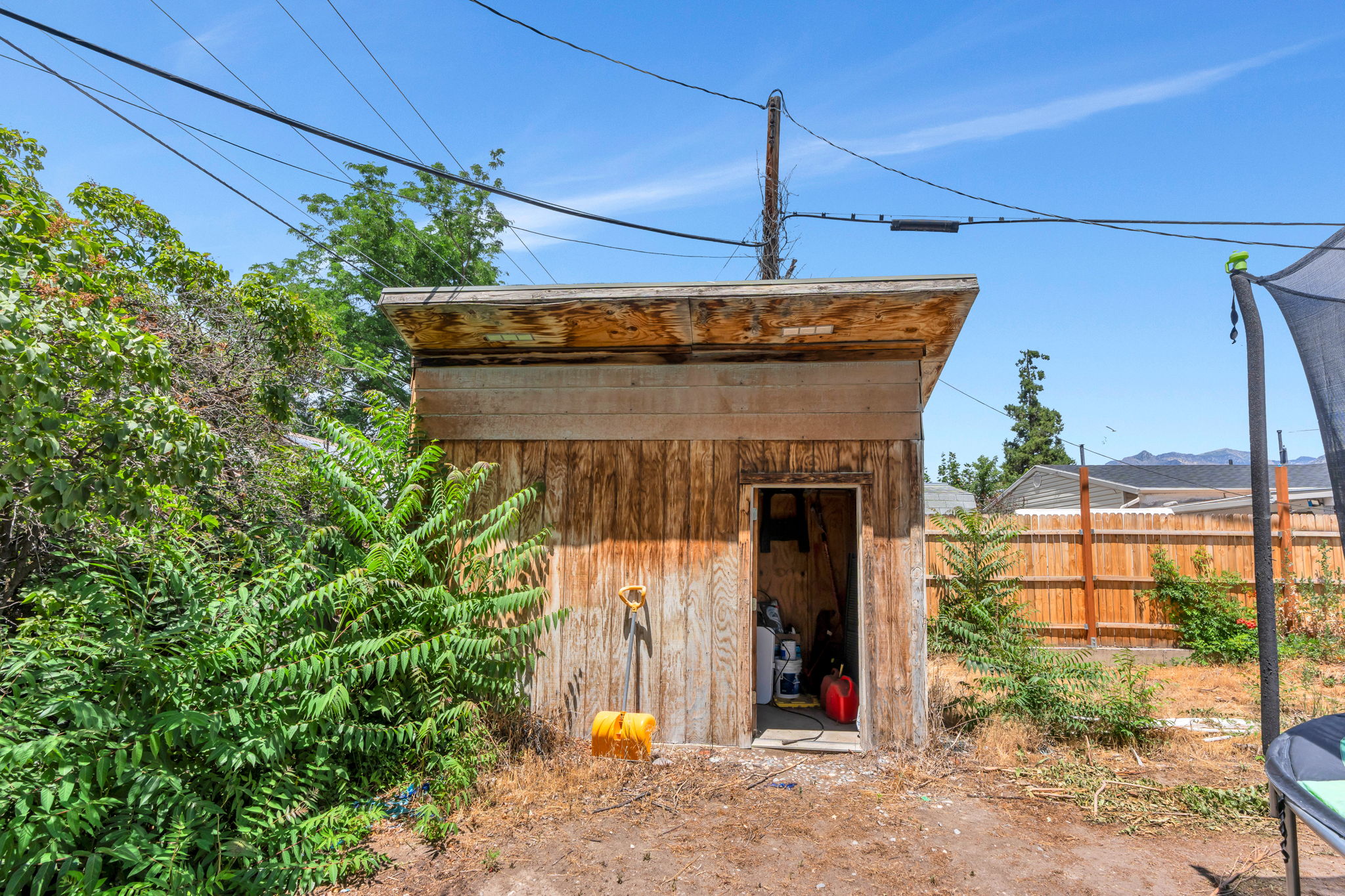 Wood-sided storage shed with a lean-to roof structure, featuring an open doorway revealing interior storage