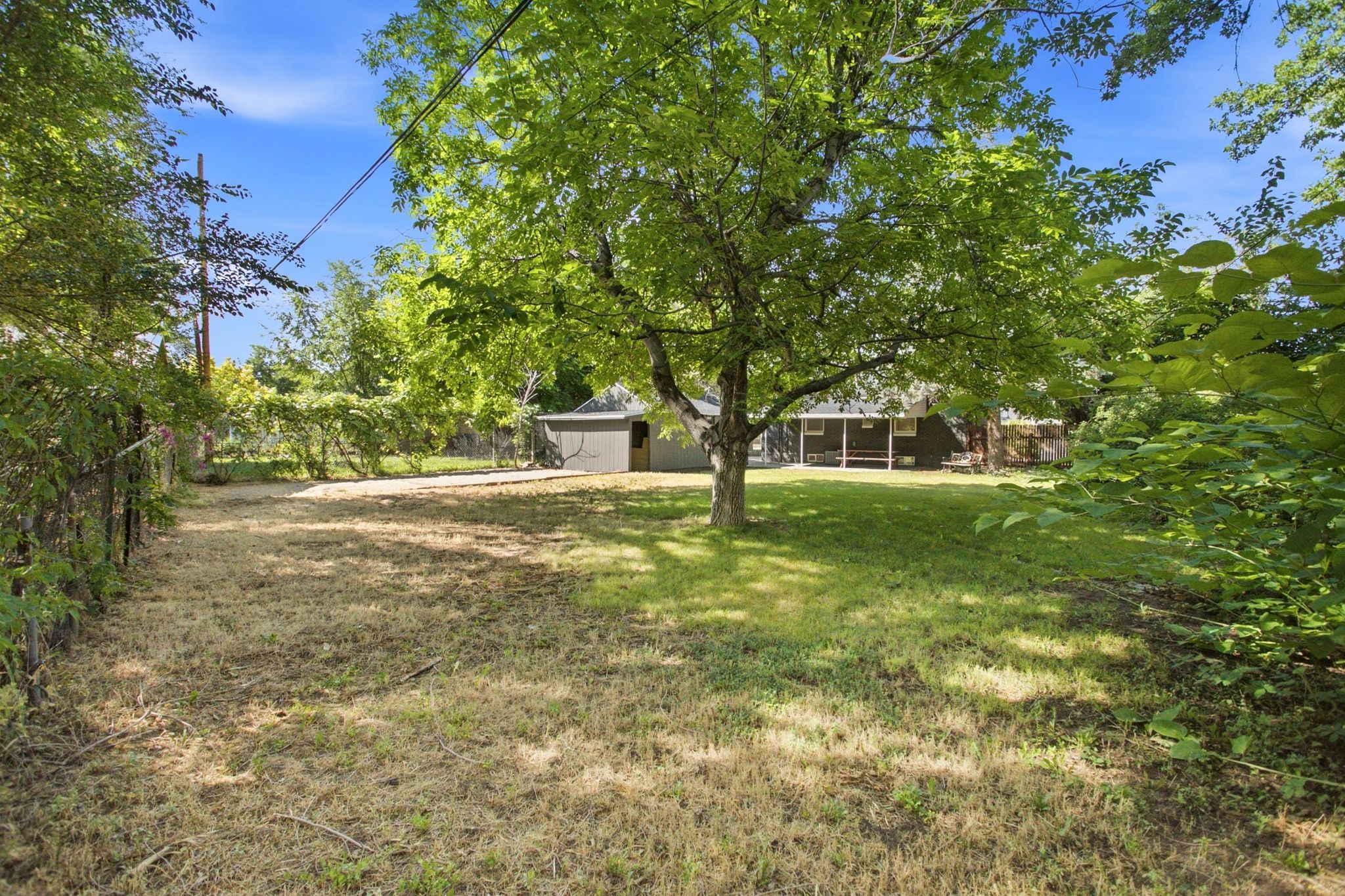 Expansive backyard featuring a large central tree, perimeter fencing, and a detached structure