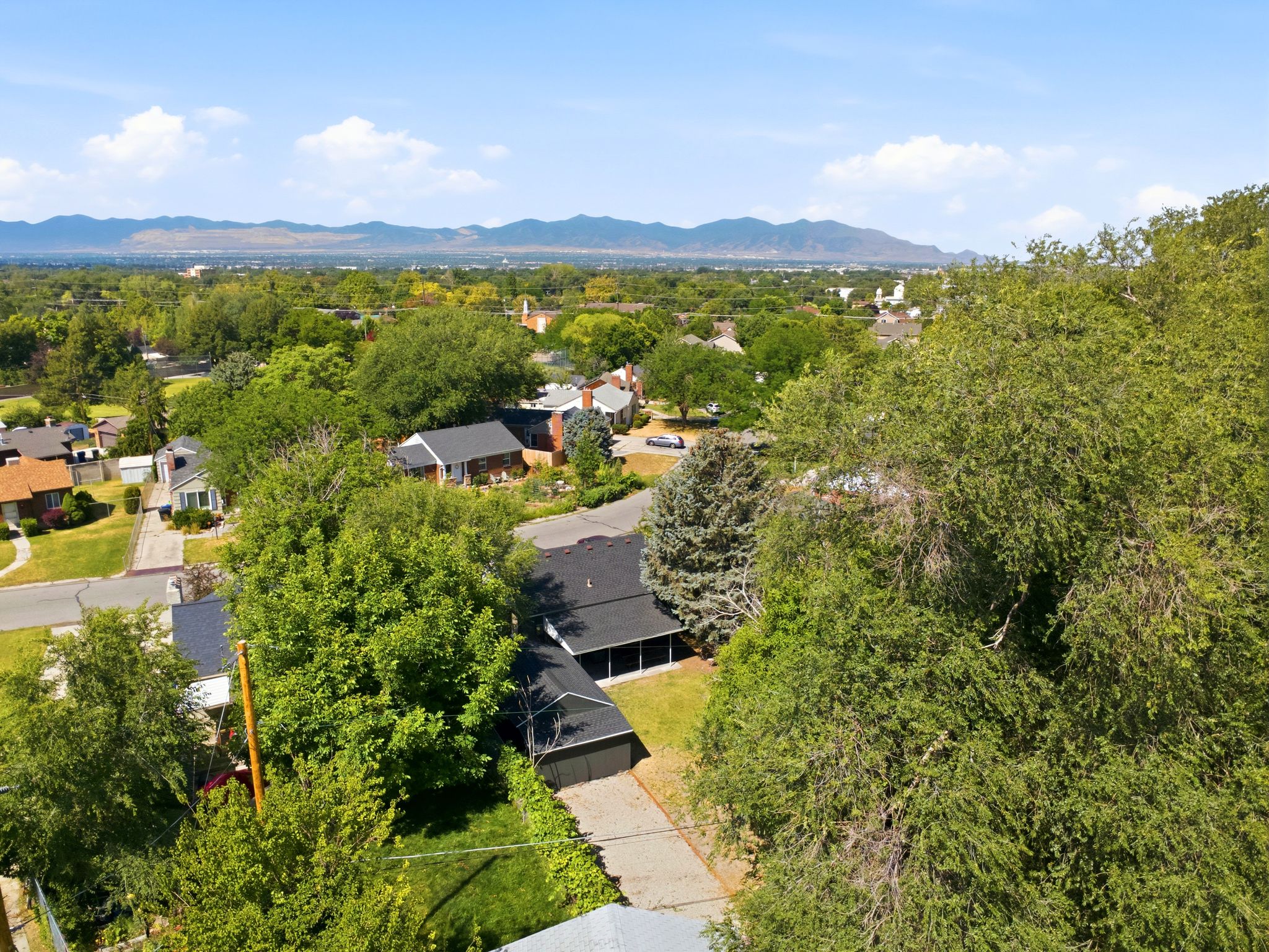 Expansive neighborhood showcasing mature trees and distant mountains under a clear sky