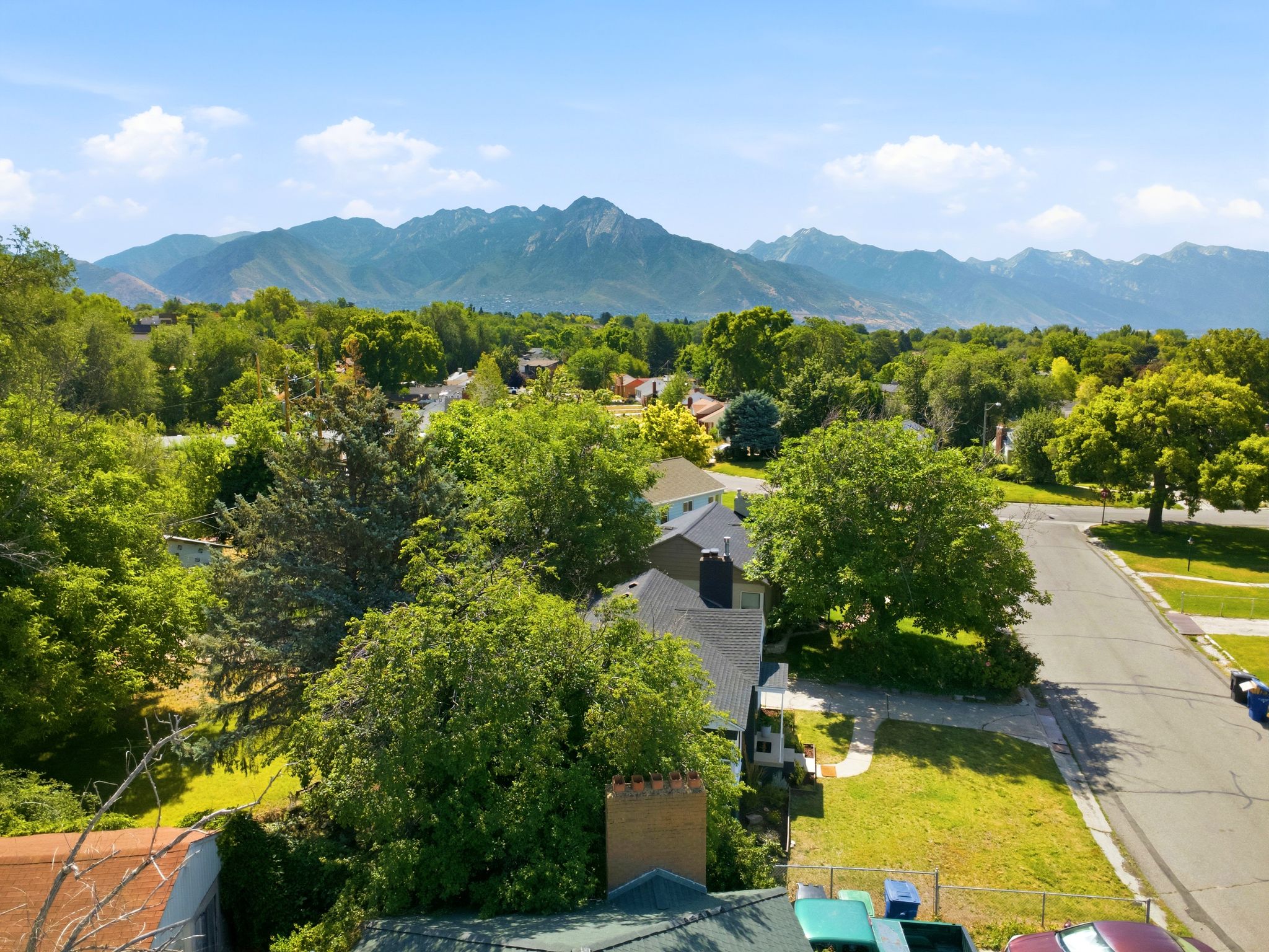 Expansive neighborhood with abundant mature trees and a prominent mountain range backdrop