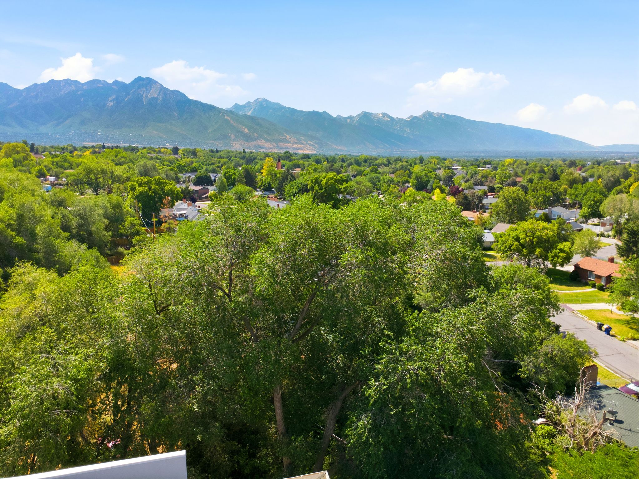 Expansive mountain landscape with a tree-lined residential area foreground