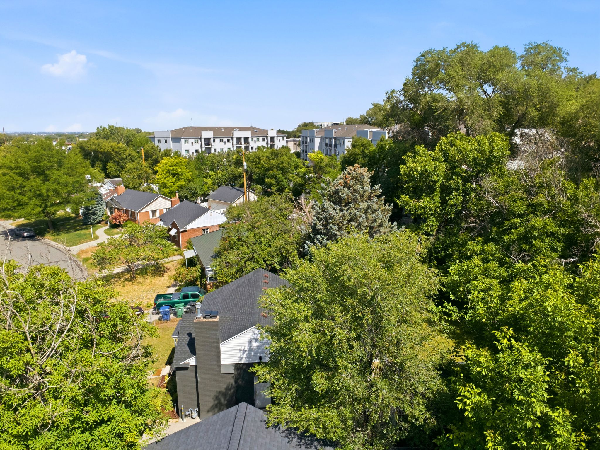 Residential neighborhood featuring mature trees and a clear blue sky