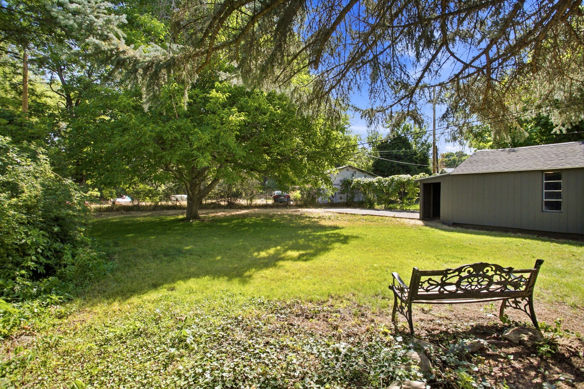 Expansive green space featuring a large mature tree, a detached storage building with a window, and a paved driveway