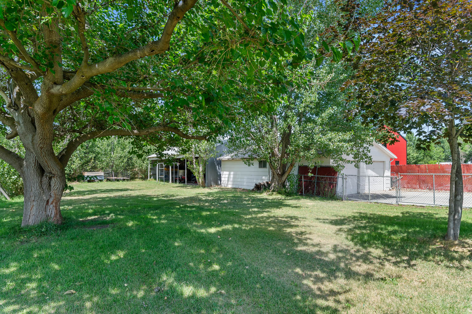 Expansive grassy yard featuring mature trees, a detached garage with a white exterior, and a chain-link fence