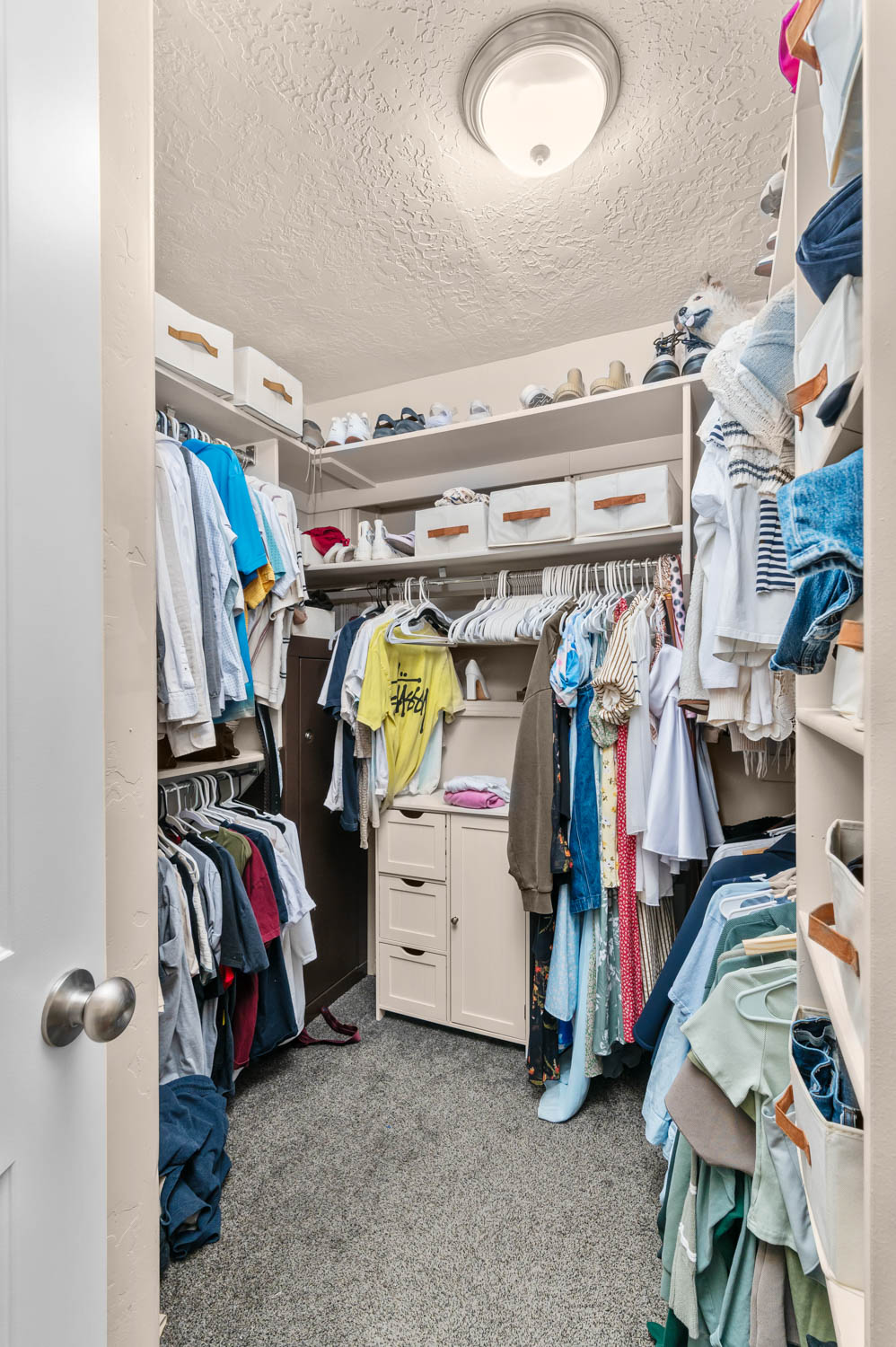 Walk-in closet featuring built-in shelving, hanging rods, an integrated drawer unit, and soft carpet flooring