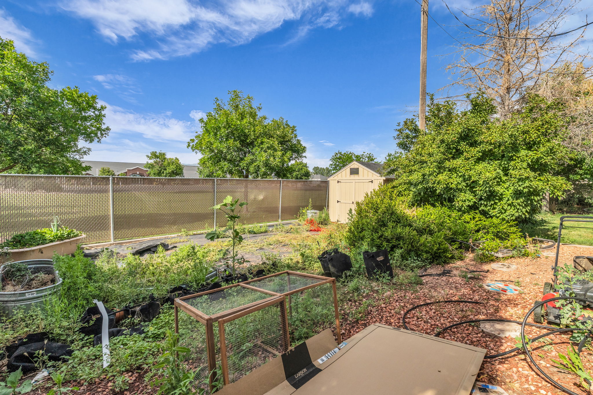 Expansive backyard featuring a chain-link fence with privacy screening, mature trees, and a detached storage shed