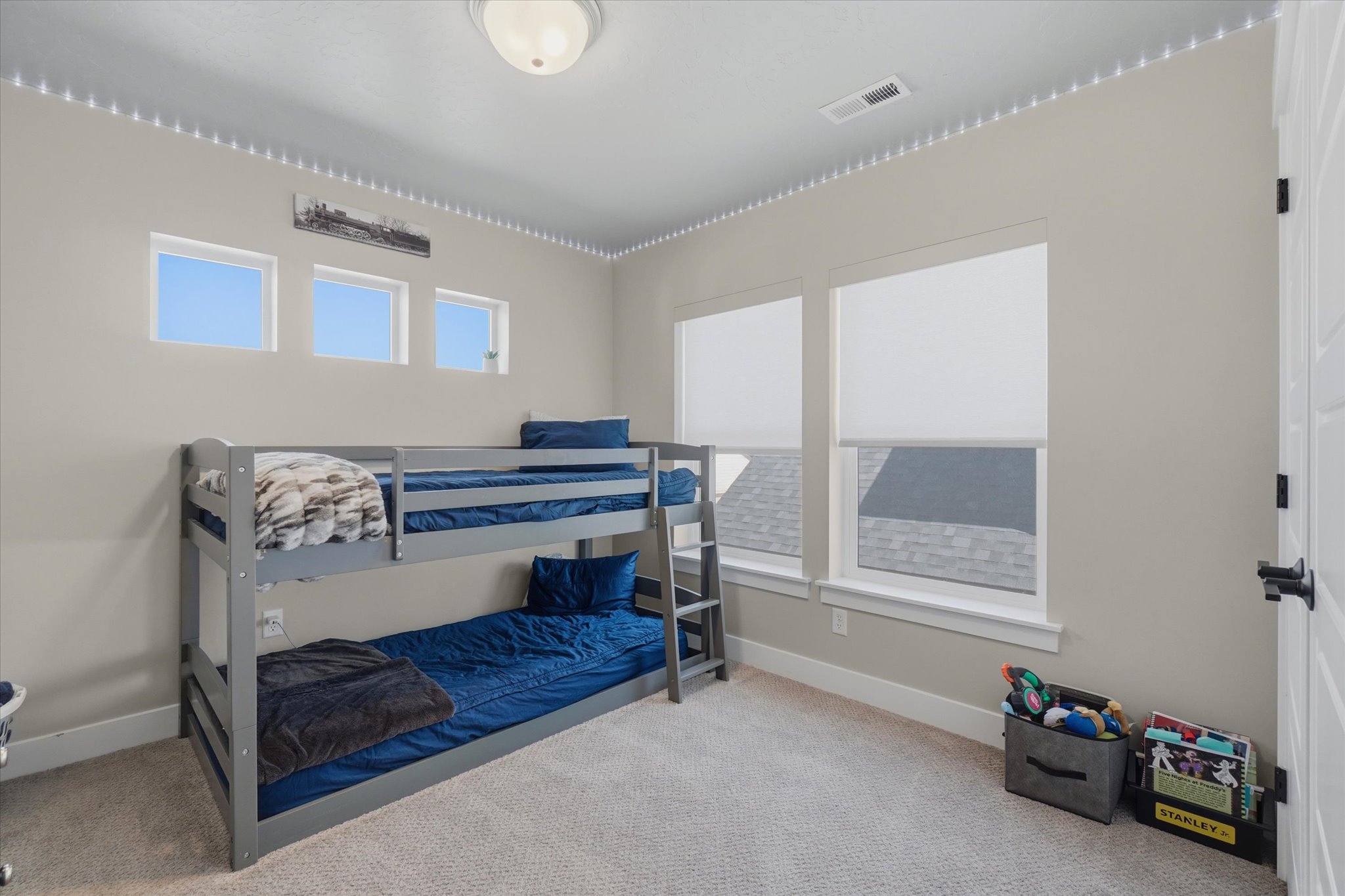 Carpeted room featuring multiple windows, a ceiling-mounted light fixture, and a white paneled door with black hardware