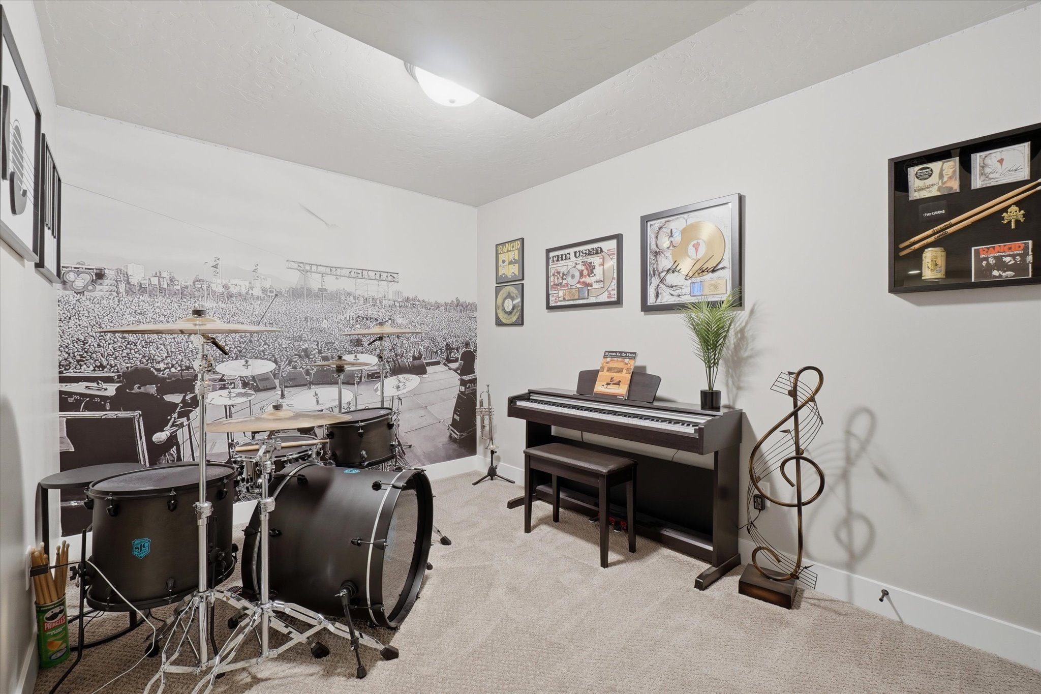 Carpeted room with a distinctive wall mural, light-toned walls, and a ceiling-mounted light fixture