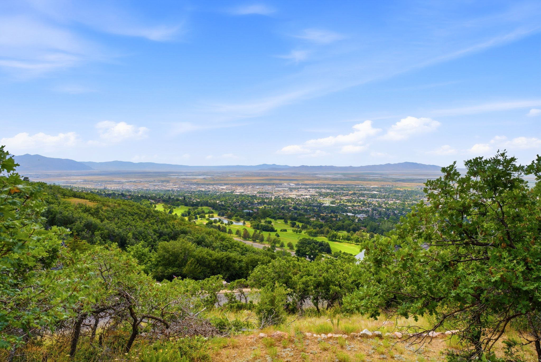 Expansive hillside property featuring mature trees and distant cityscapes