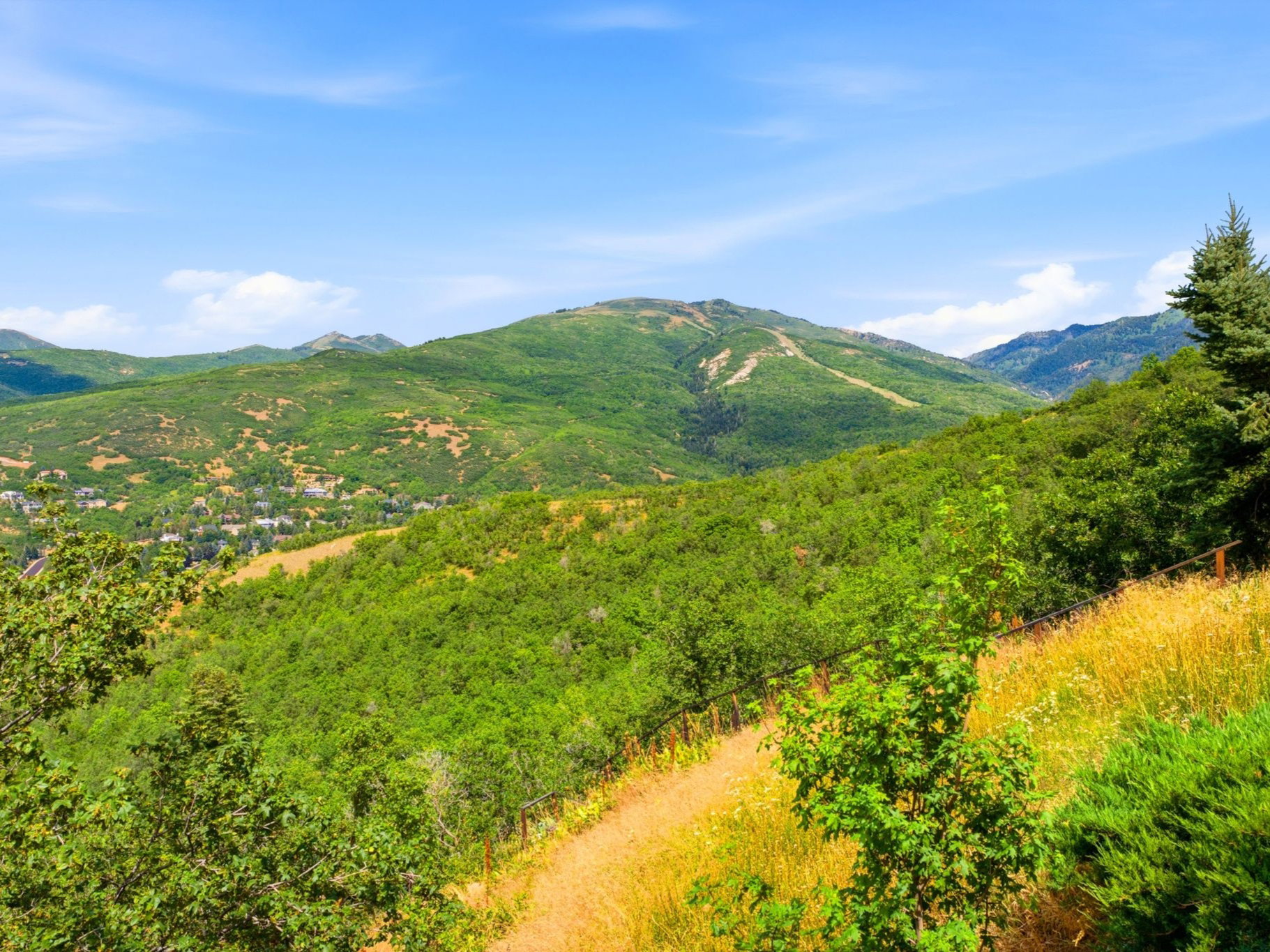 Panoramic mountain landscape featuring extensive green foliage and a clear blue sky