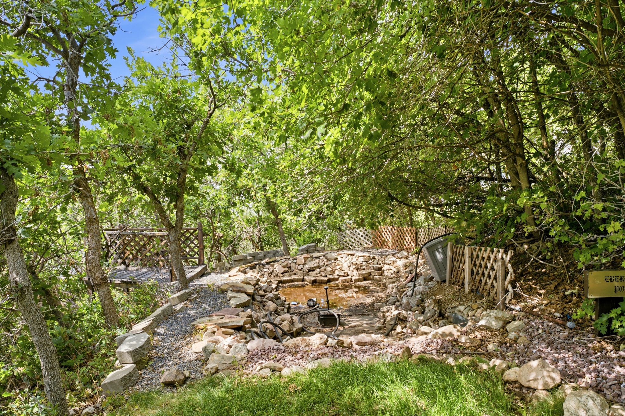 Pond in lower back yard