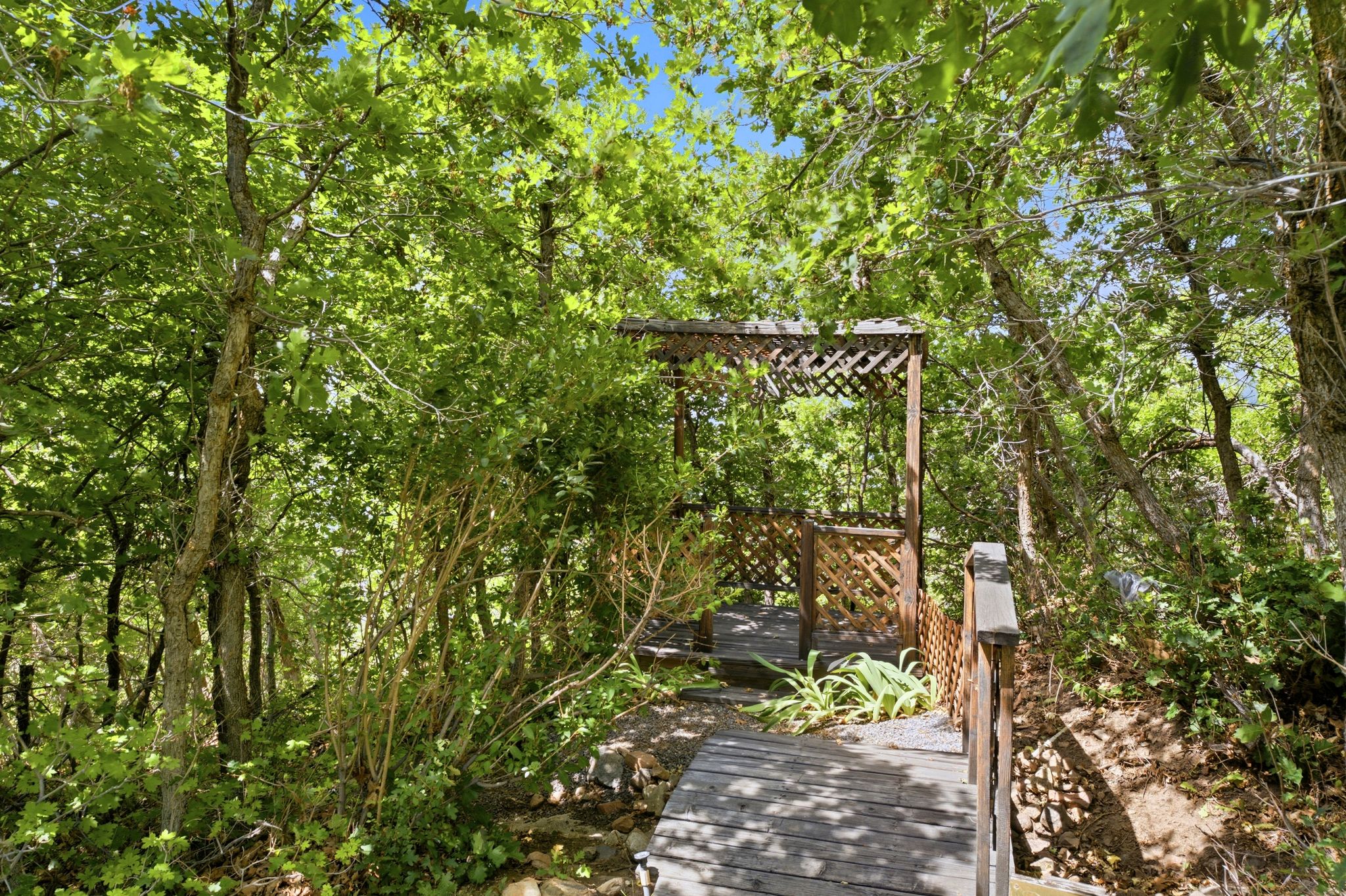 Pathway and stairs leading to a latticework gazebo, enveloped by mature trees and abundant natural greenery