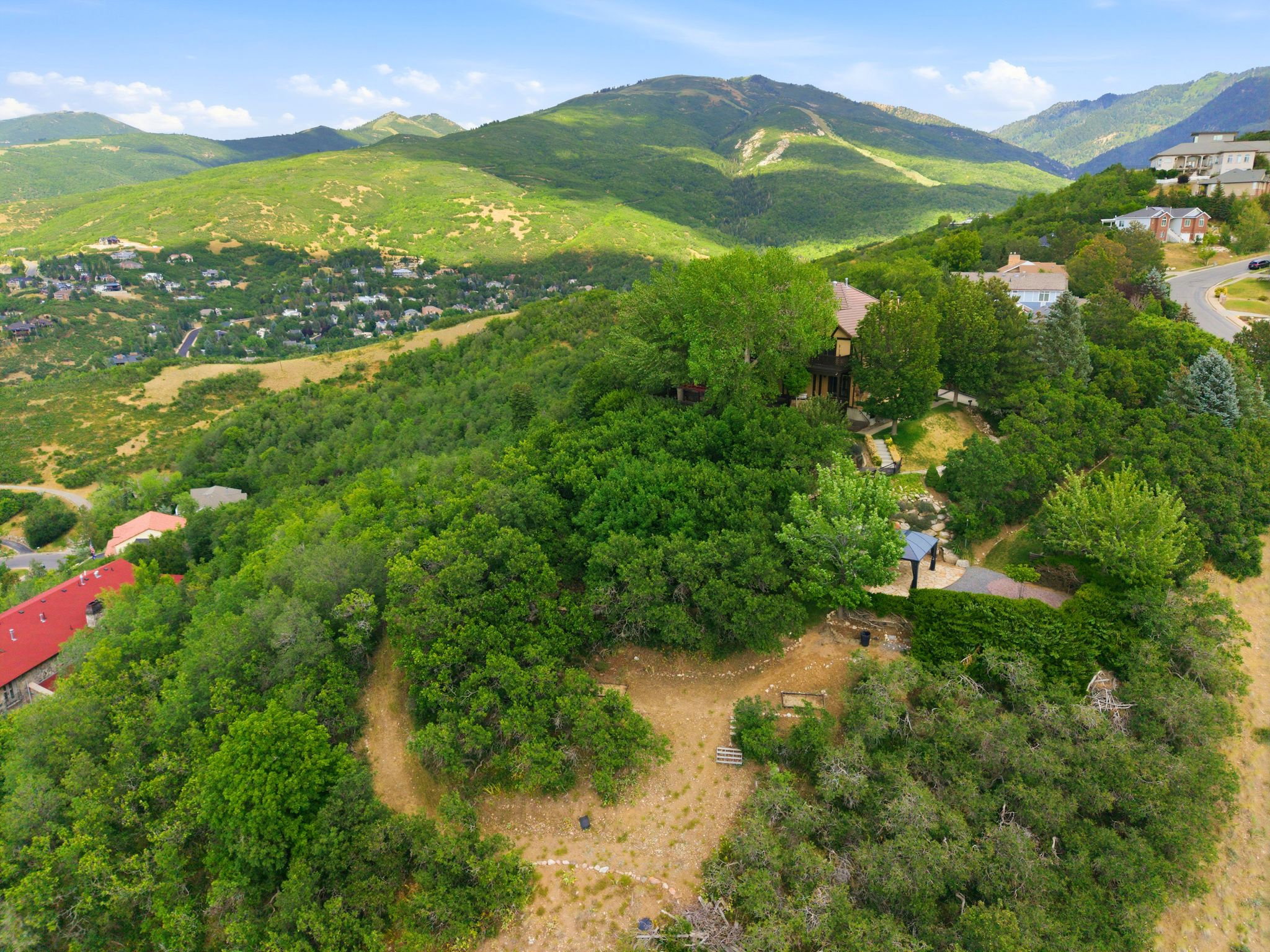 Aerial view of back of property and pergola