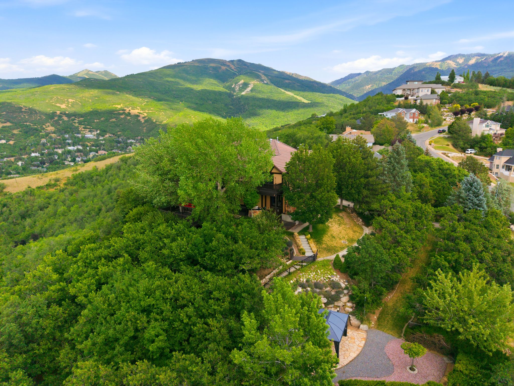 Hillside property surrounded by mature trees