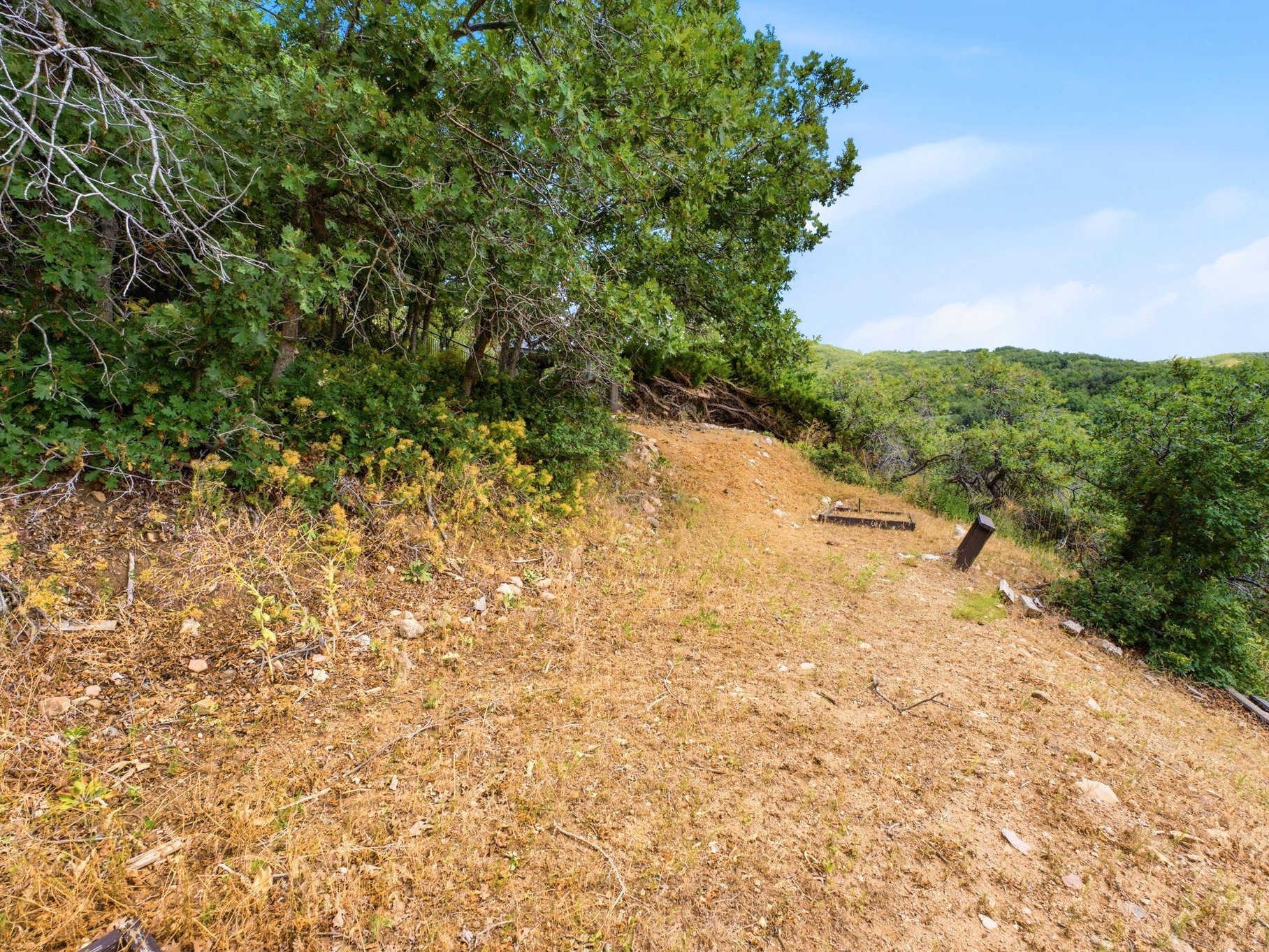 Sloping terrain featuring natural vegetation and distant hills