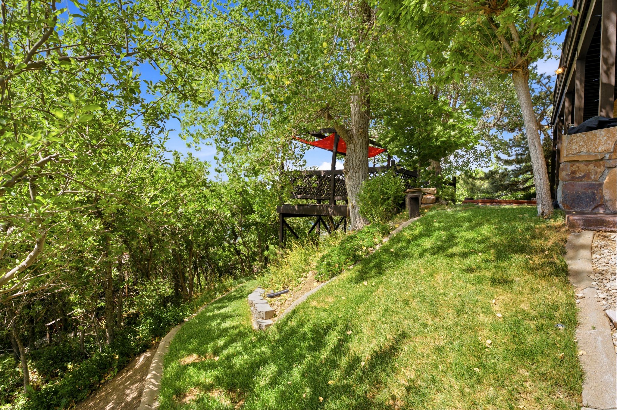 Lush green lawn with mature lawn and trees