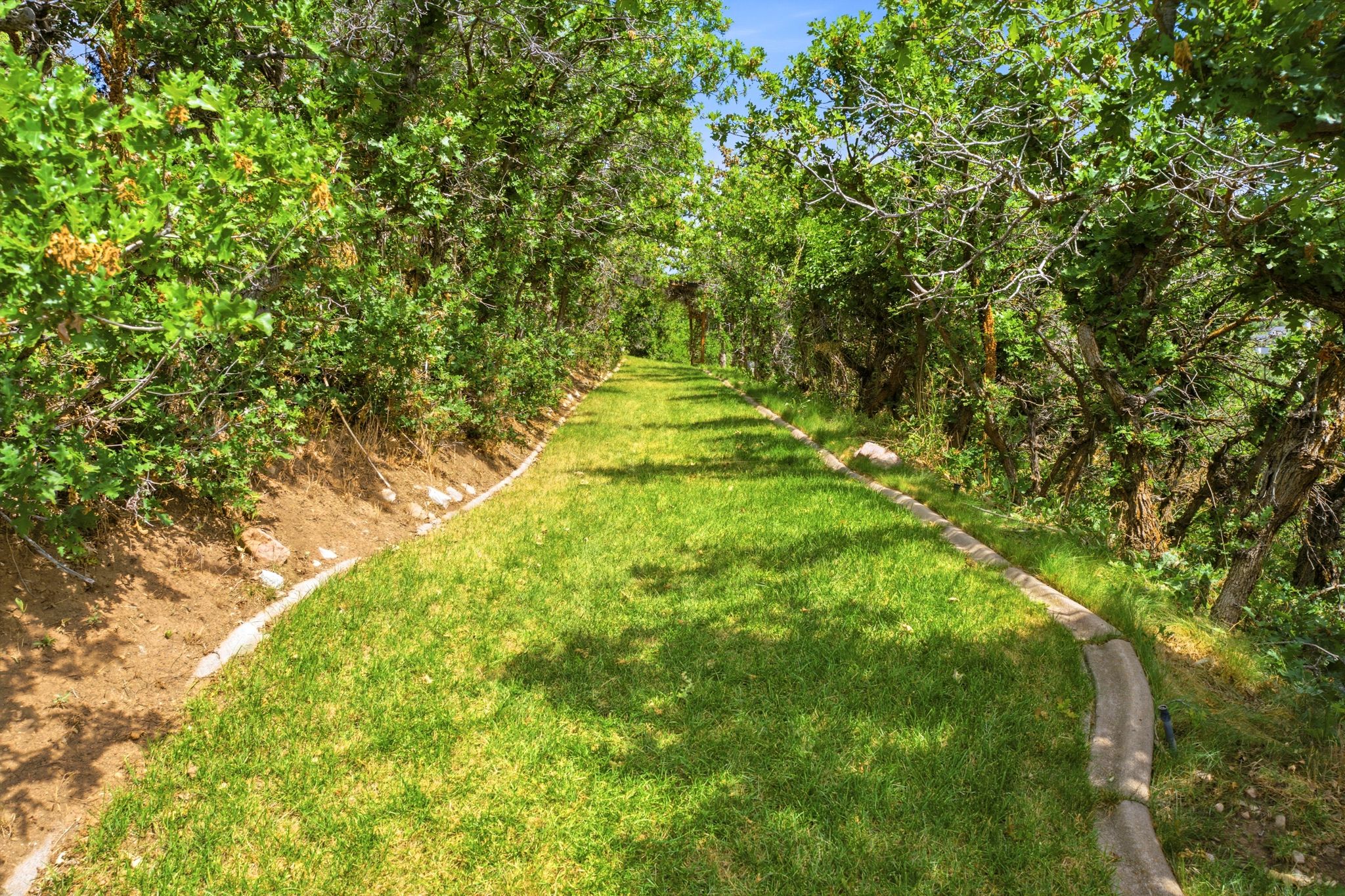 Manicured grass pathway bordered by natural stone curbing and mature perimeter trees