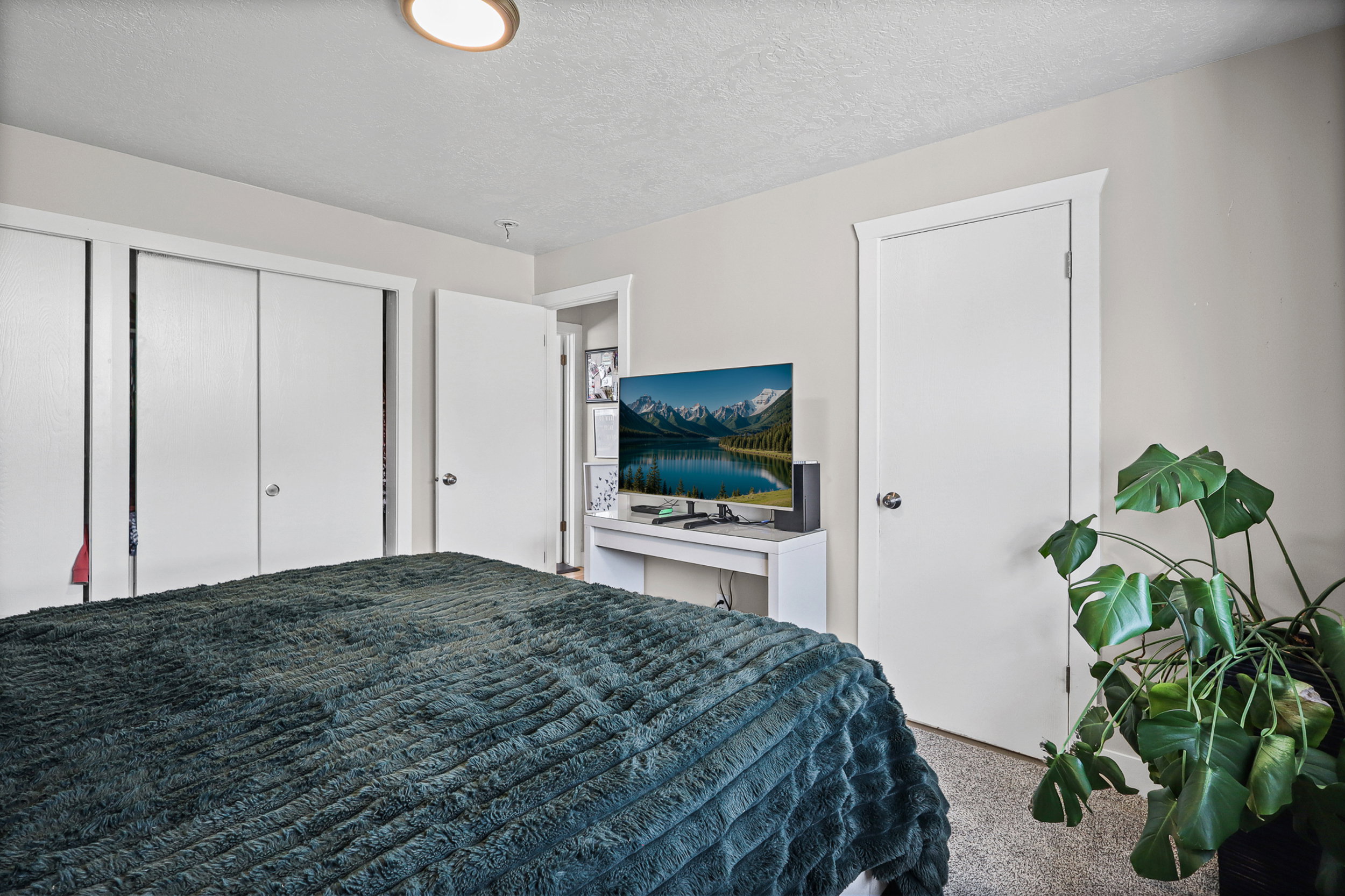 Bedroom featuring light-colored walls and textured carpeting