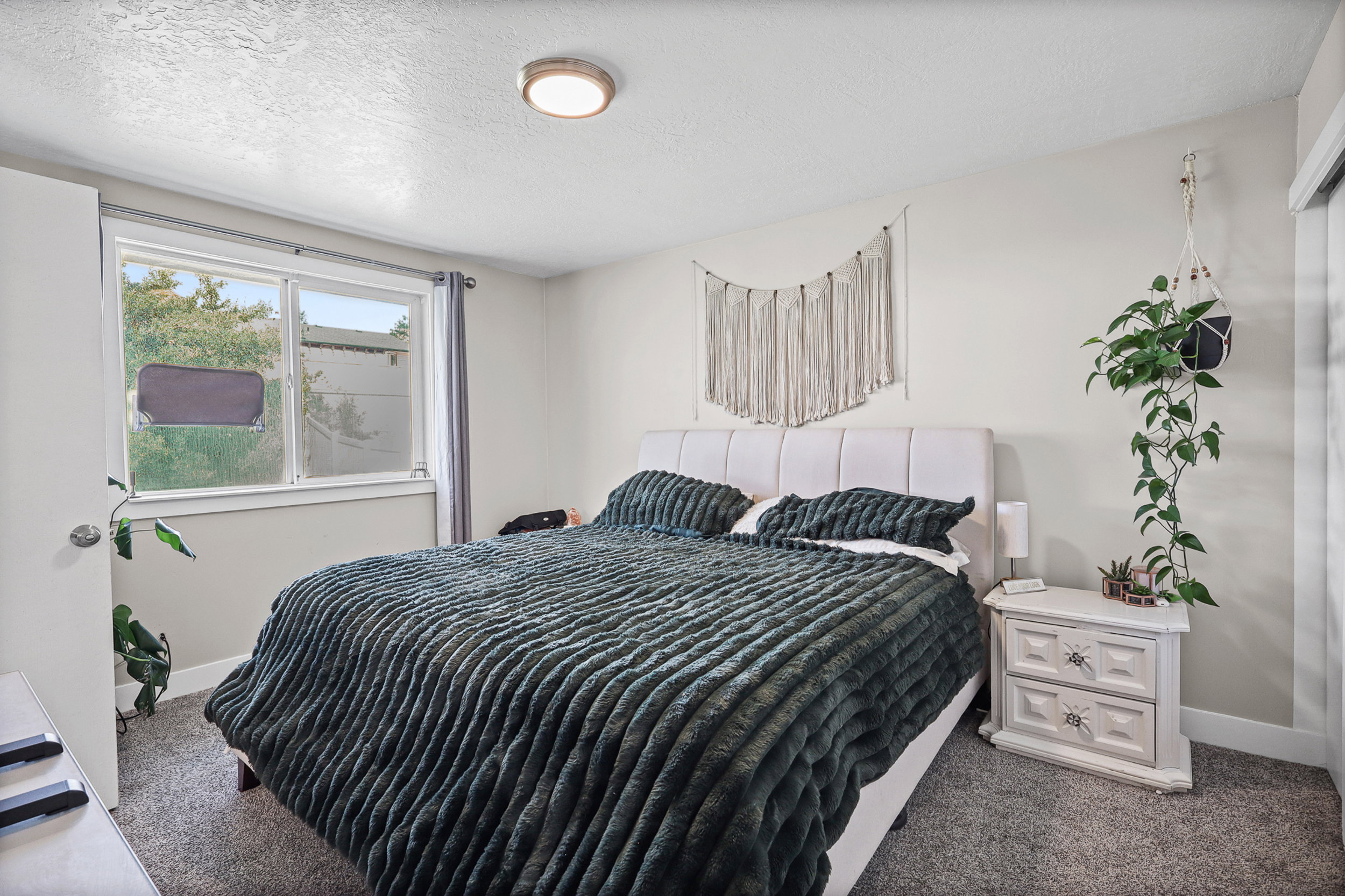 Bedroom featuring light gray walls, textured gray carpeting, and a window with white trim