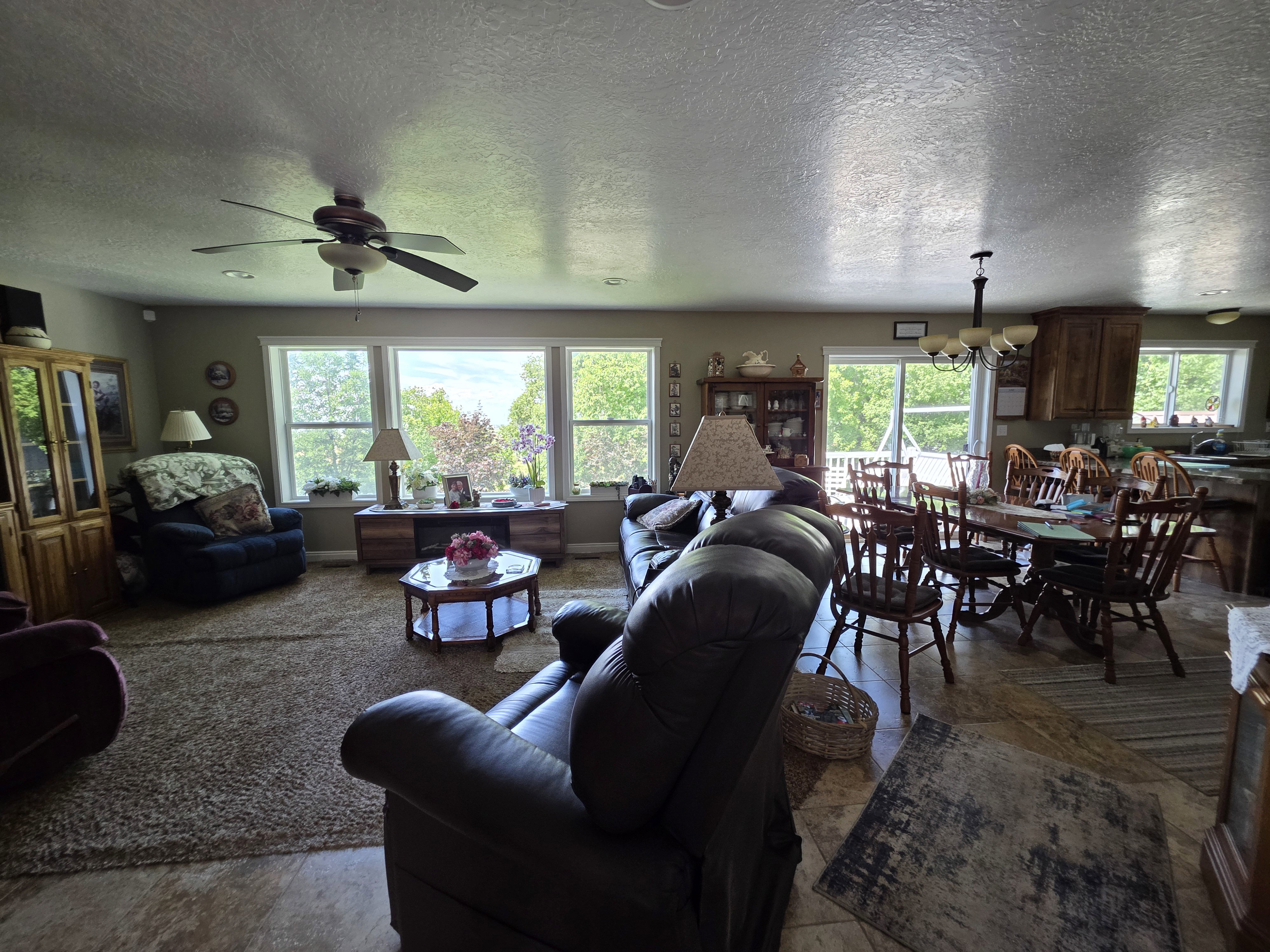 Open-concept living area featuring multiple windows, a ceiling fan, and mixed flooring with wood-finish tile and carpeting