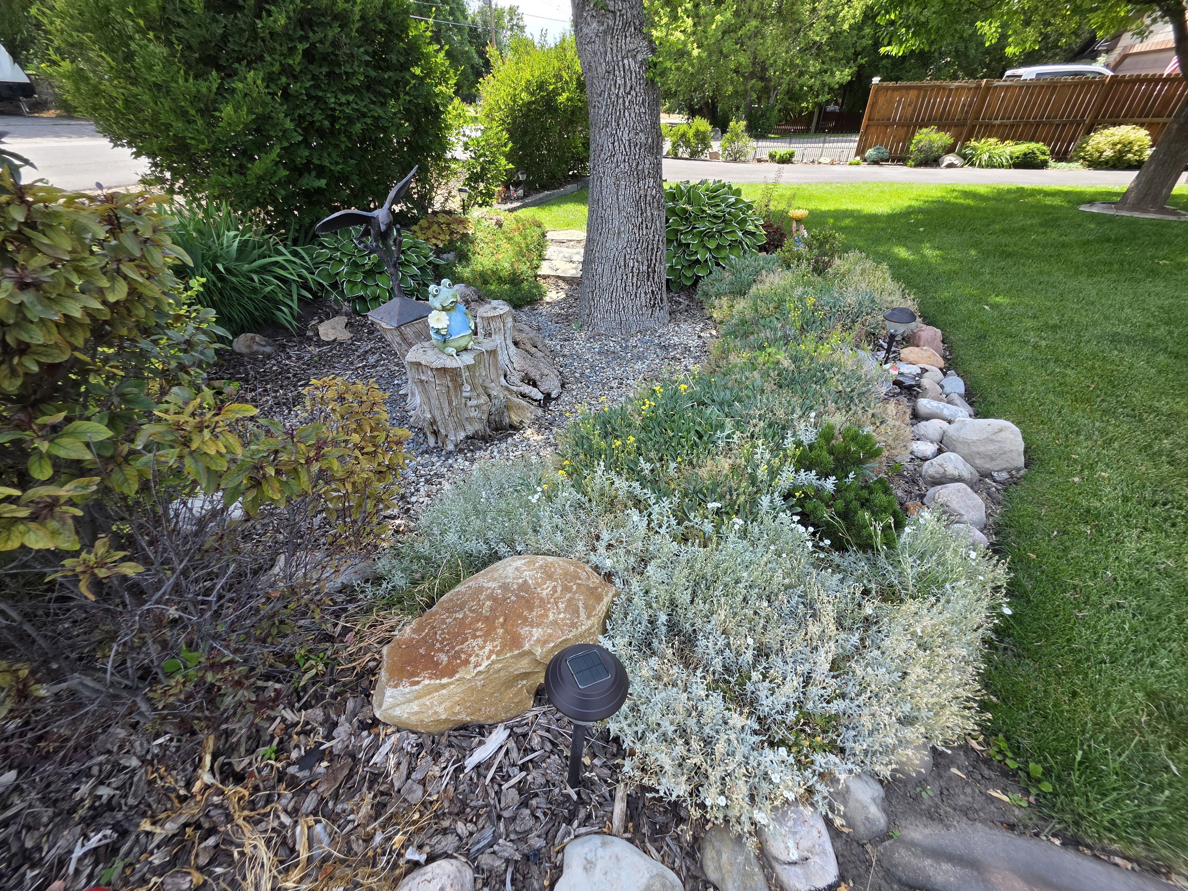 Landscaped garden bed featuring a variety of plantings, decorative rocks, and a mature tree
