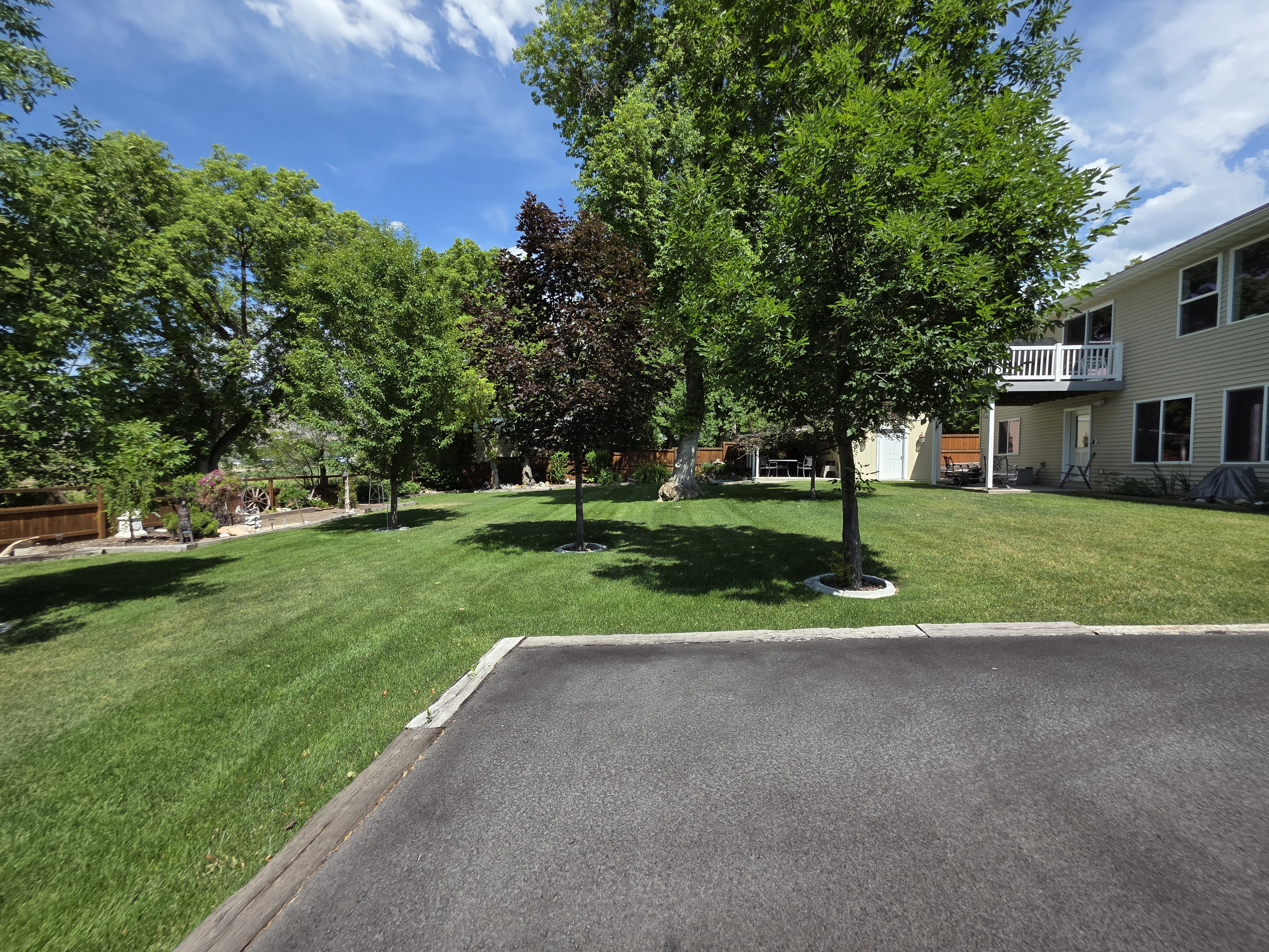 Expansive rear yard featuring a manicured lawn, mature trees, and a wooden privacy fence