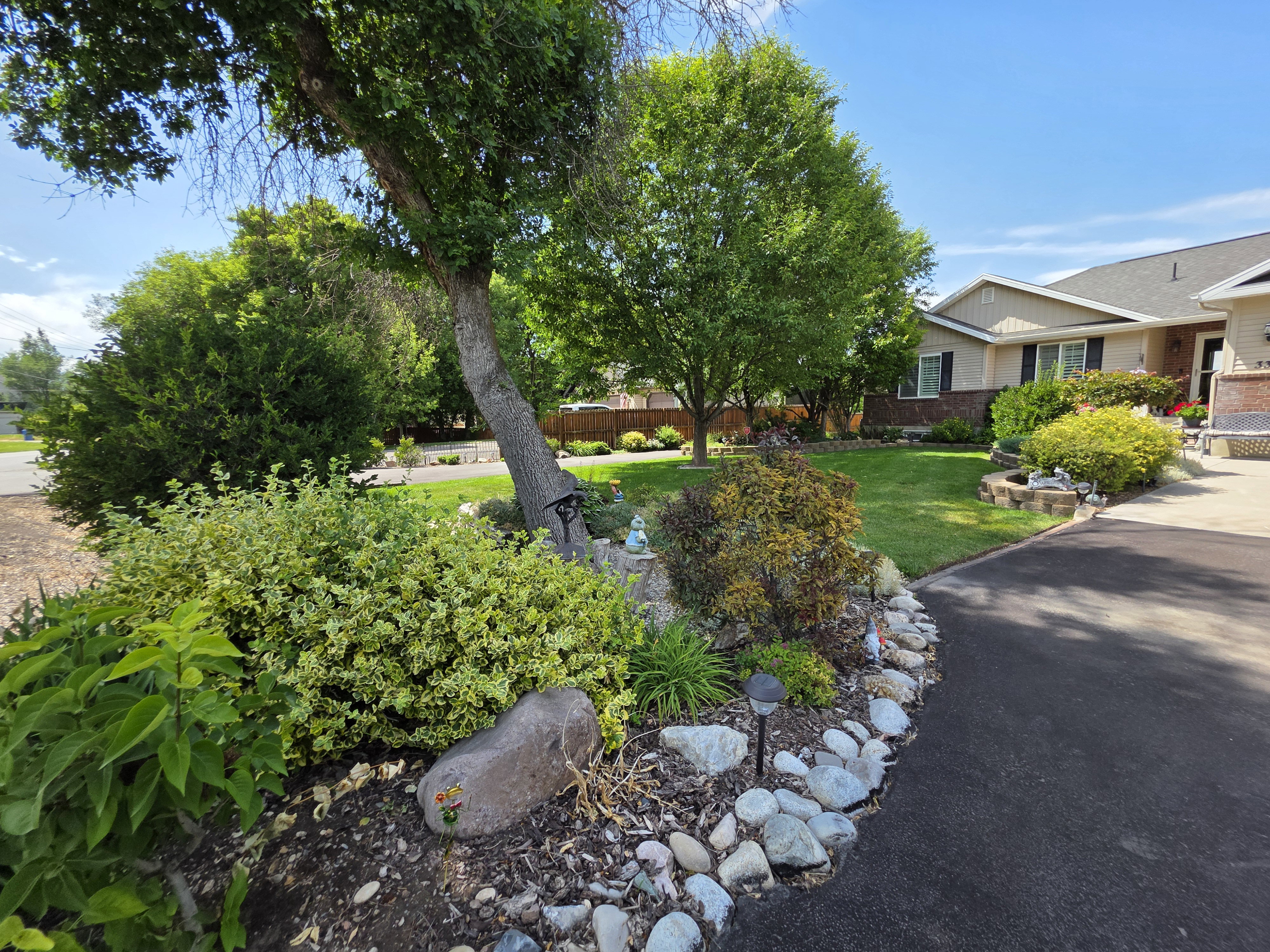 Lush front yard landscaping featuring mature trees and diverse plantings
