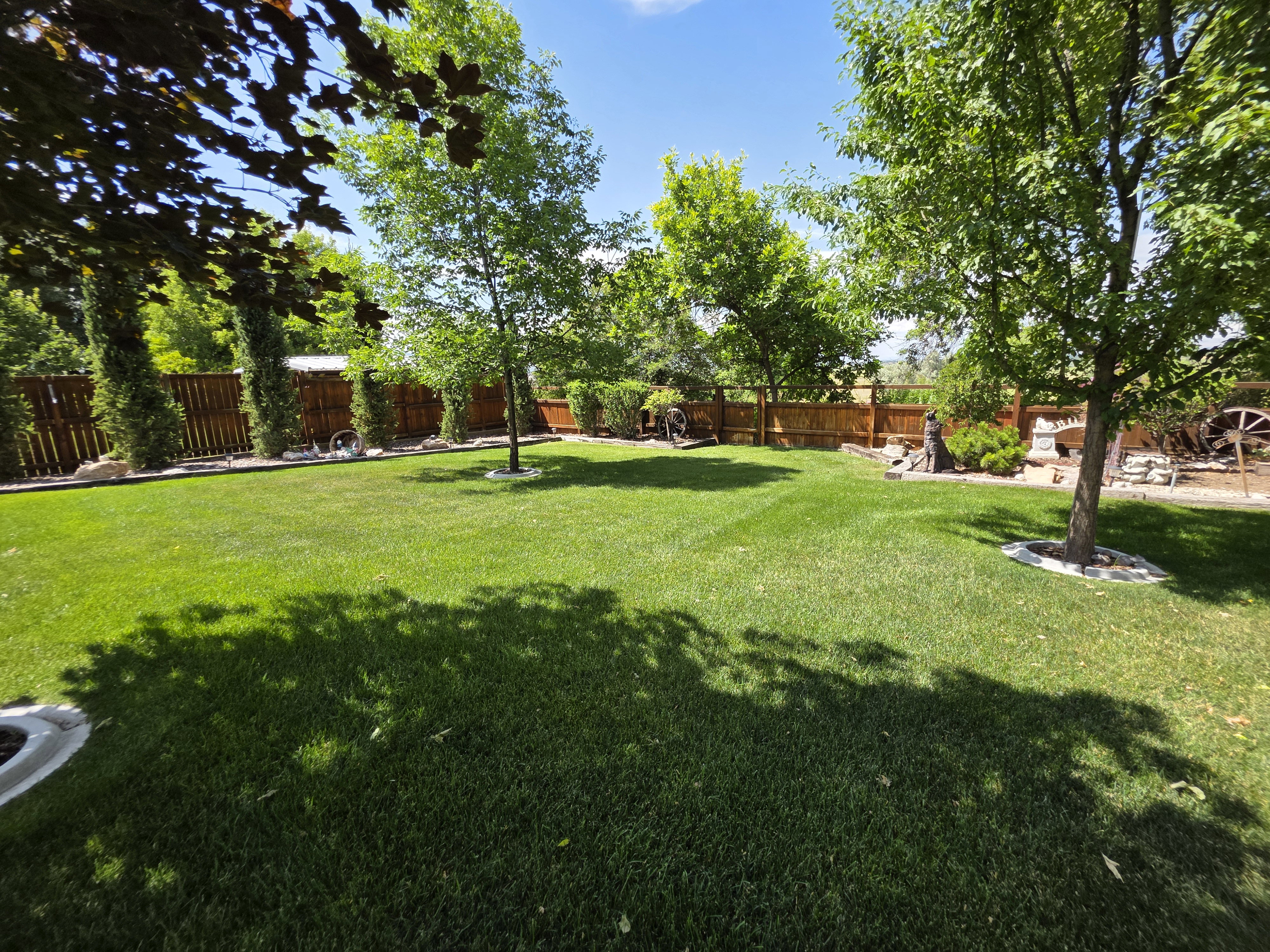 Expansive lawn area featuring mature trees and a perimeter wood fence
