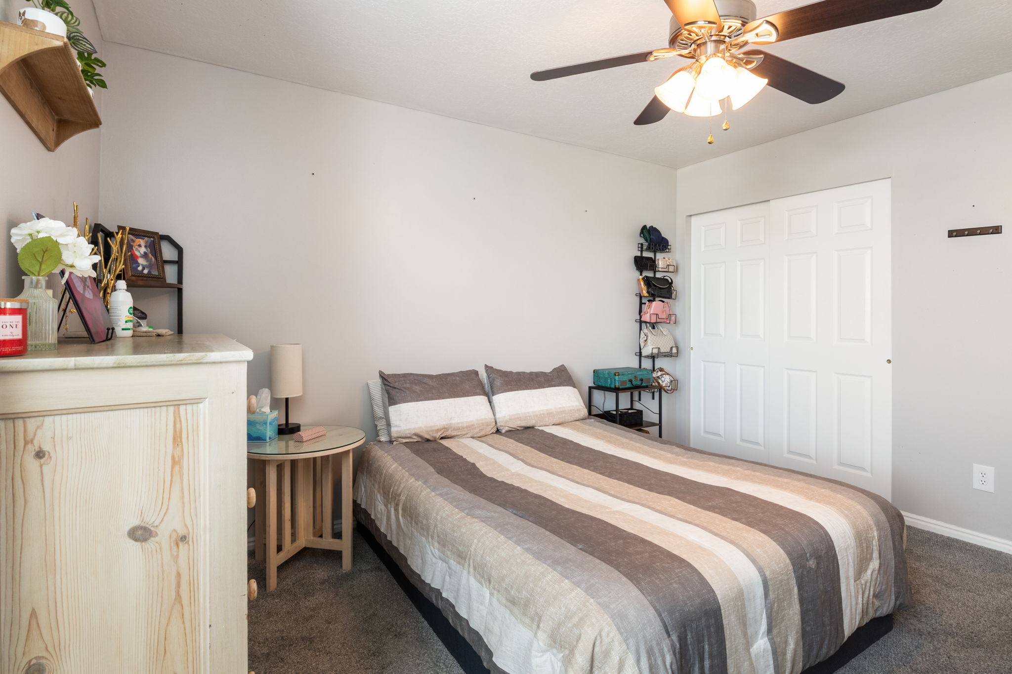 Wall-to-wall carpeting and a ceiling fan with light fixture