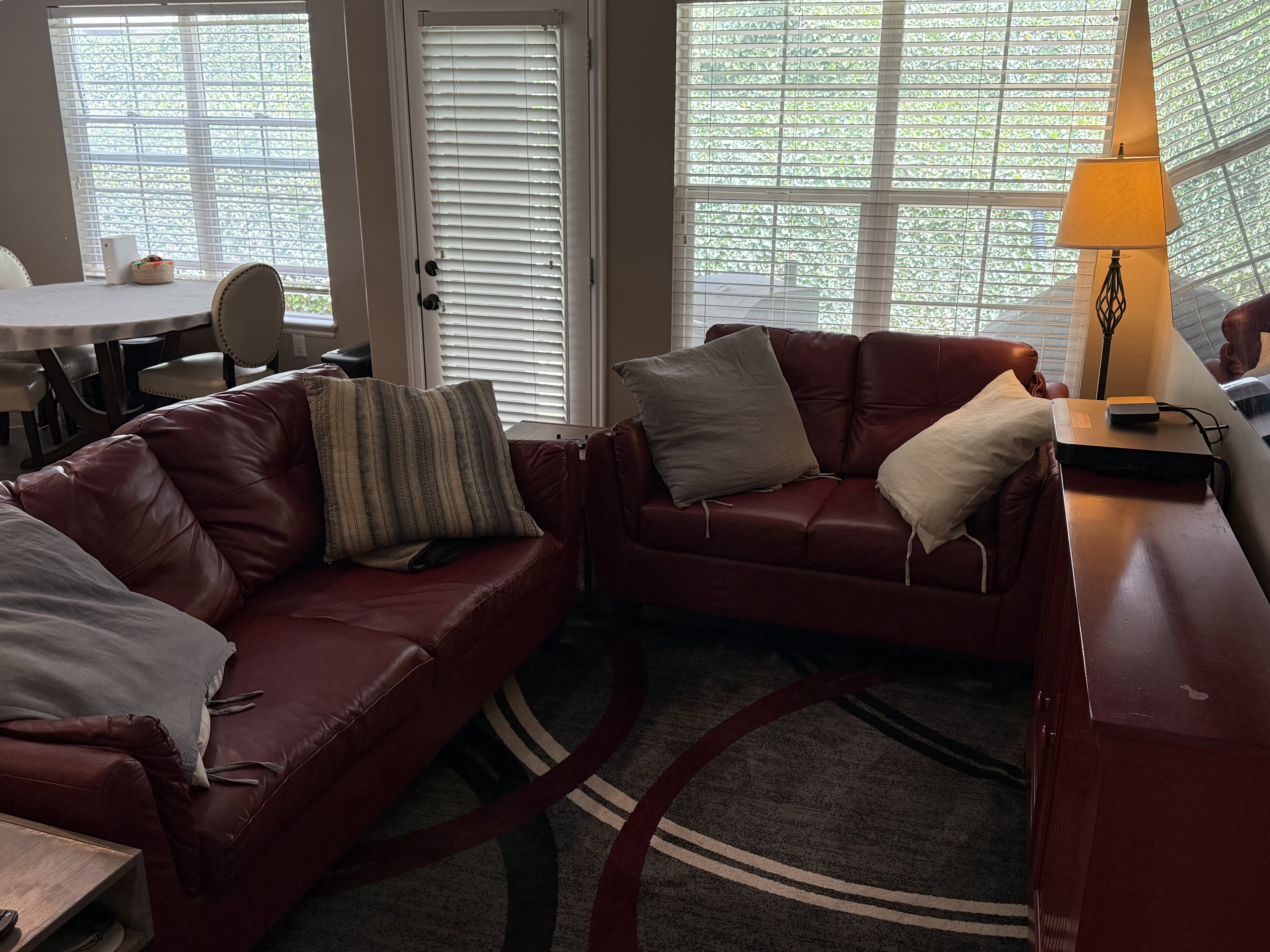 Interior space featuring a window with horizontal blinds, glass panel door with horizontal blinds, and dark wood-finish flooring partially covered by an area rug