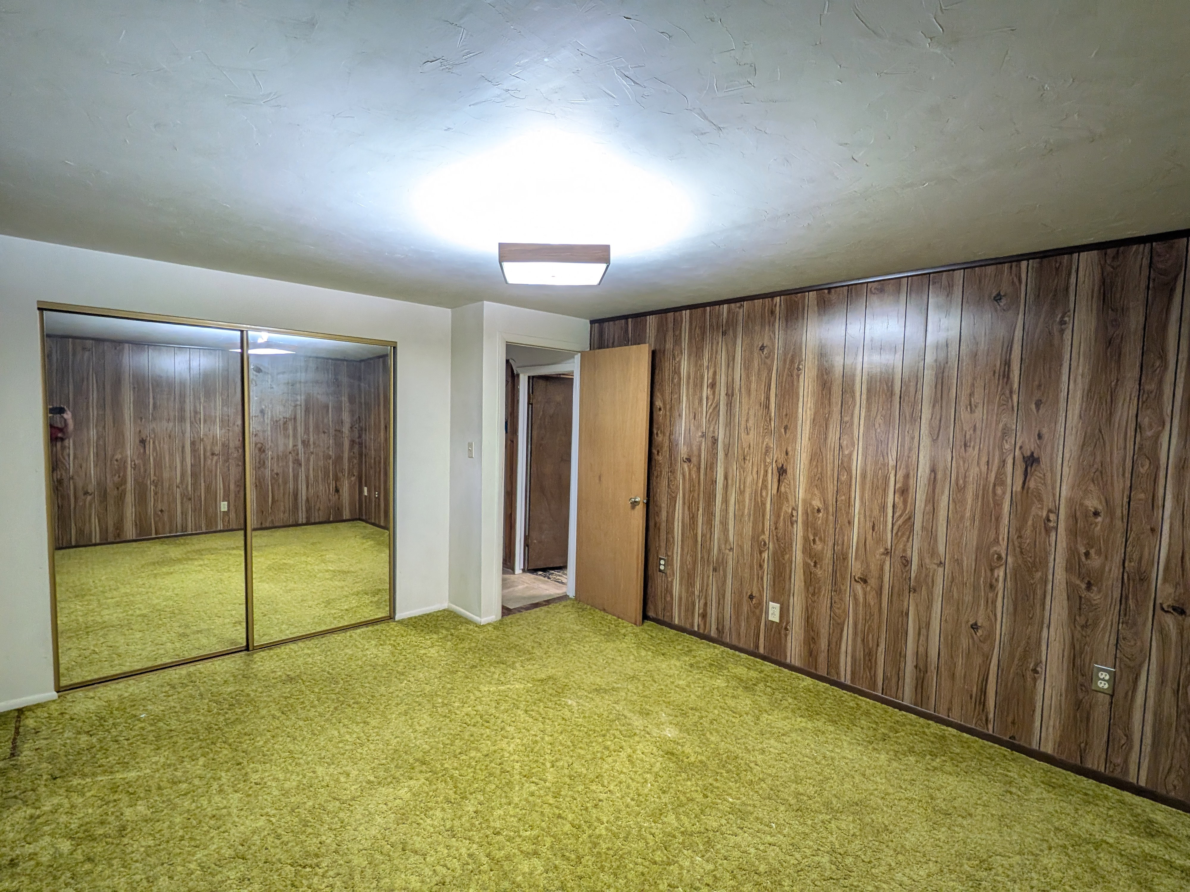 Room featuring wood paneling, wall-to-wall carpeting, a flush-mount ceiling light fixture, and mirrored closet doors