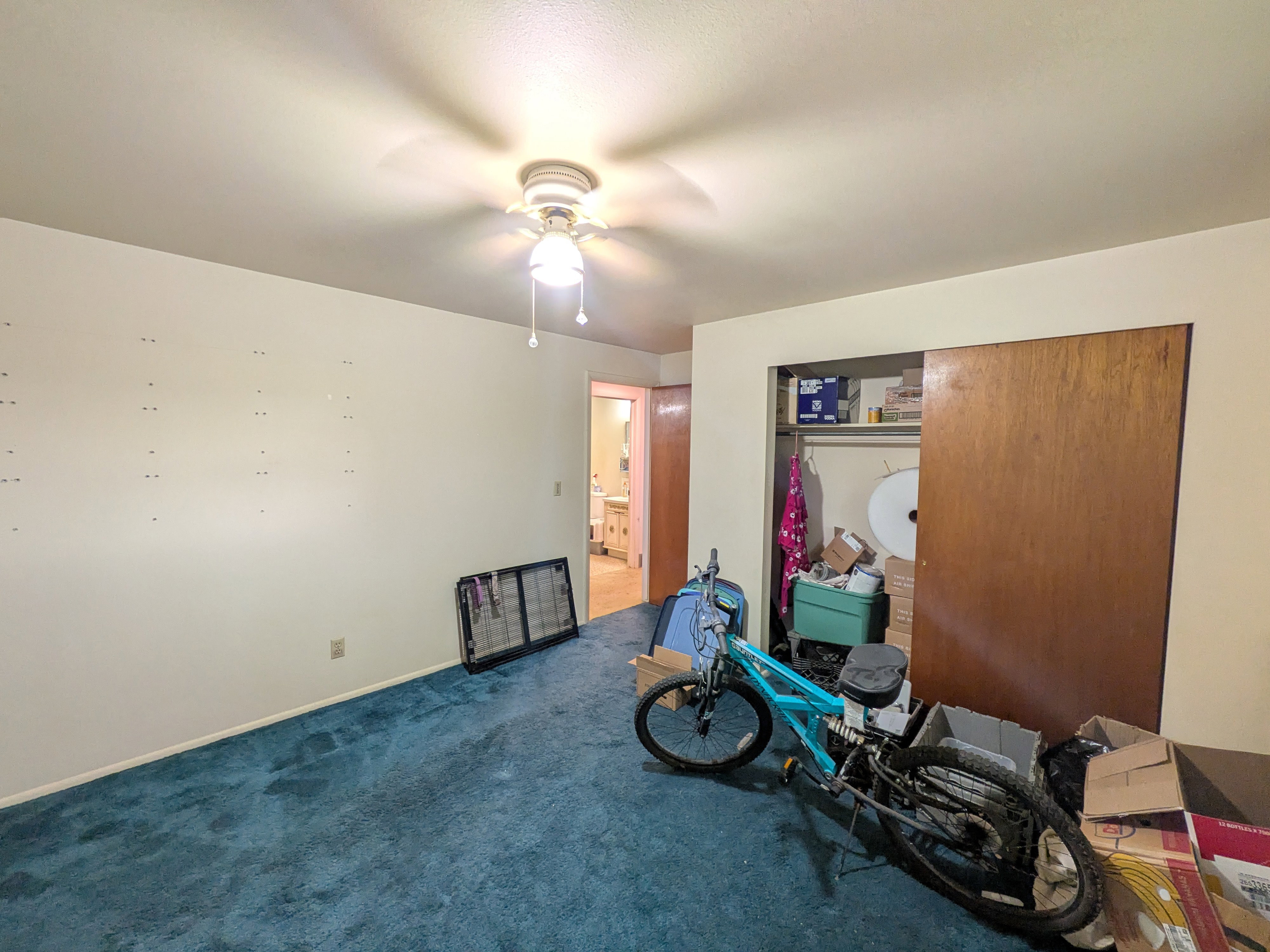 Room featuring blue carpeting and a ceiling fan with integrated lighting