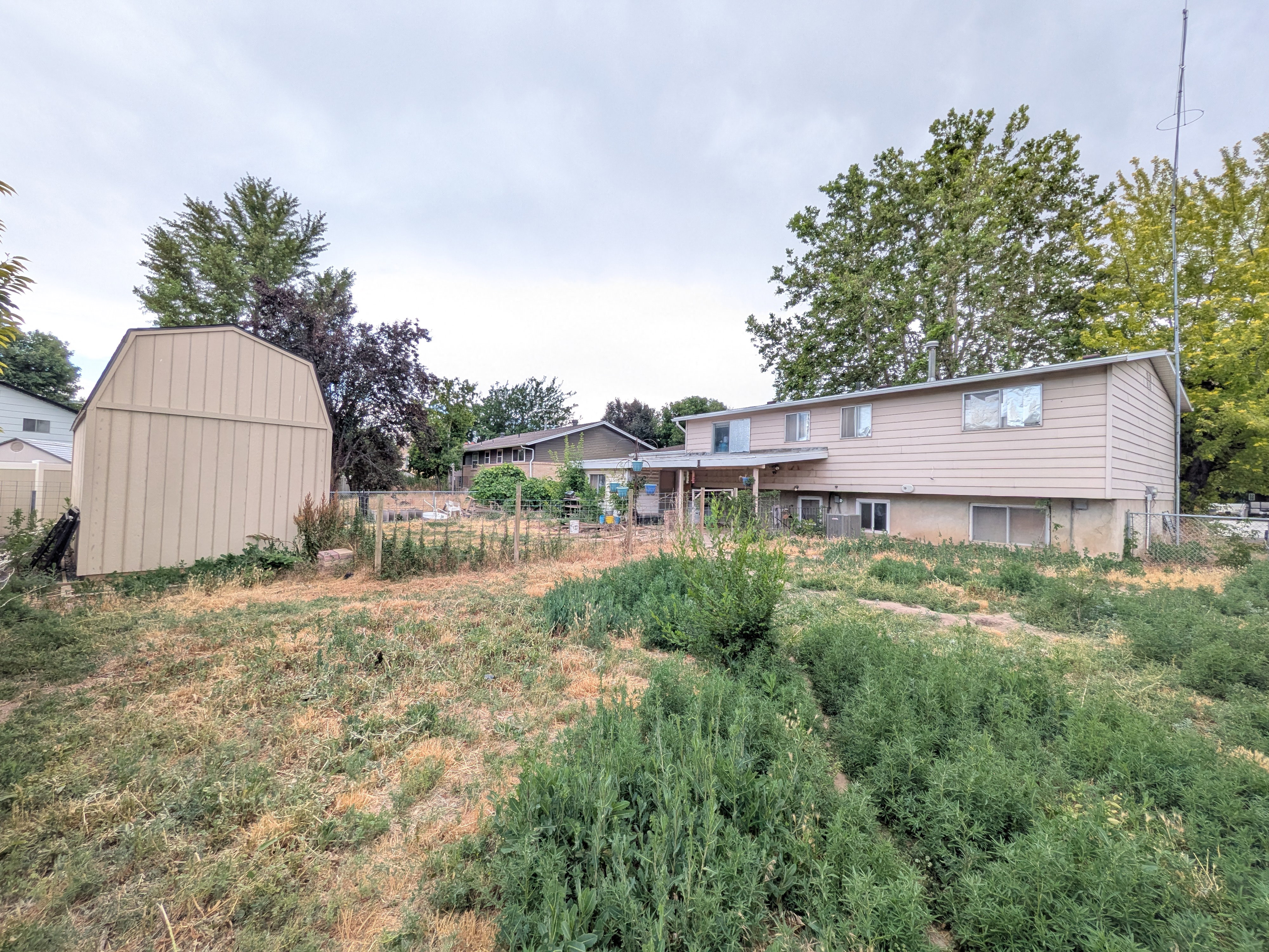 Expansive backyard featuring a storage shed with a gambrel roof and a two-story residence with beige siding