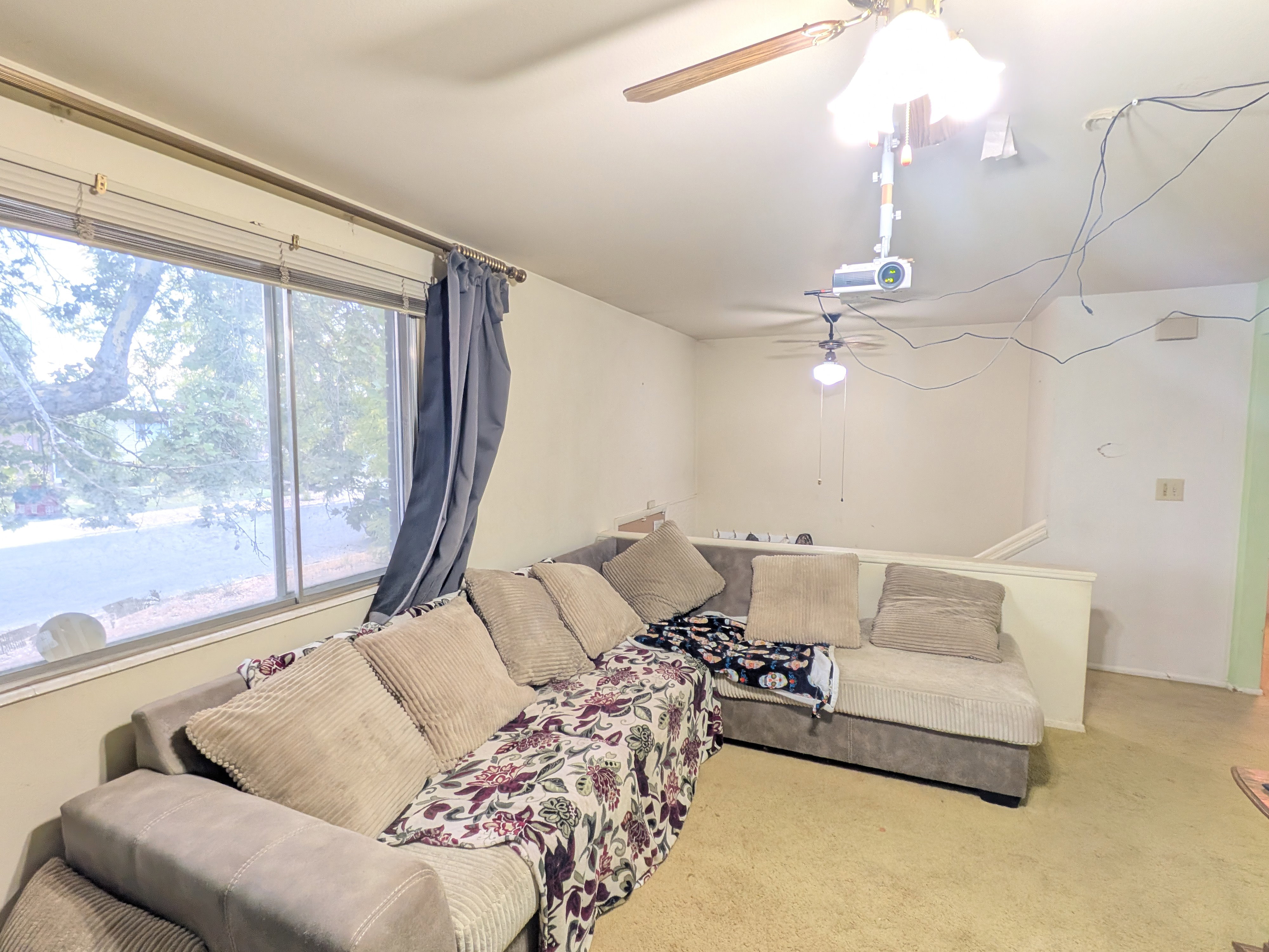 Carpeted living area featuring a large window, a ceiling fan, and white painted walls