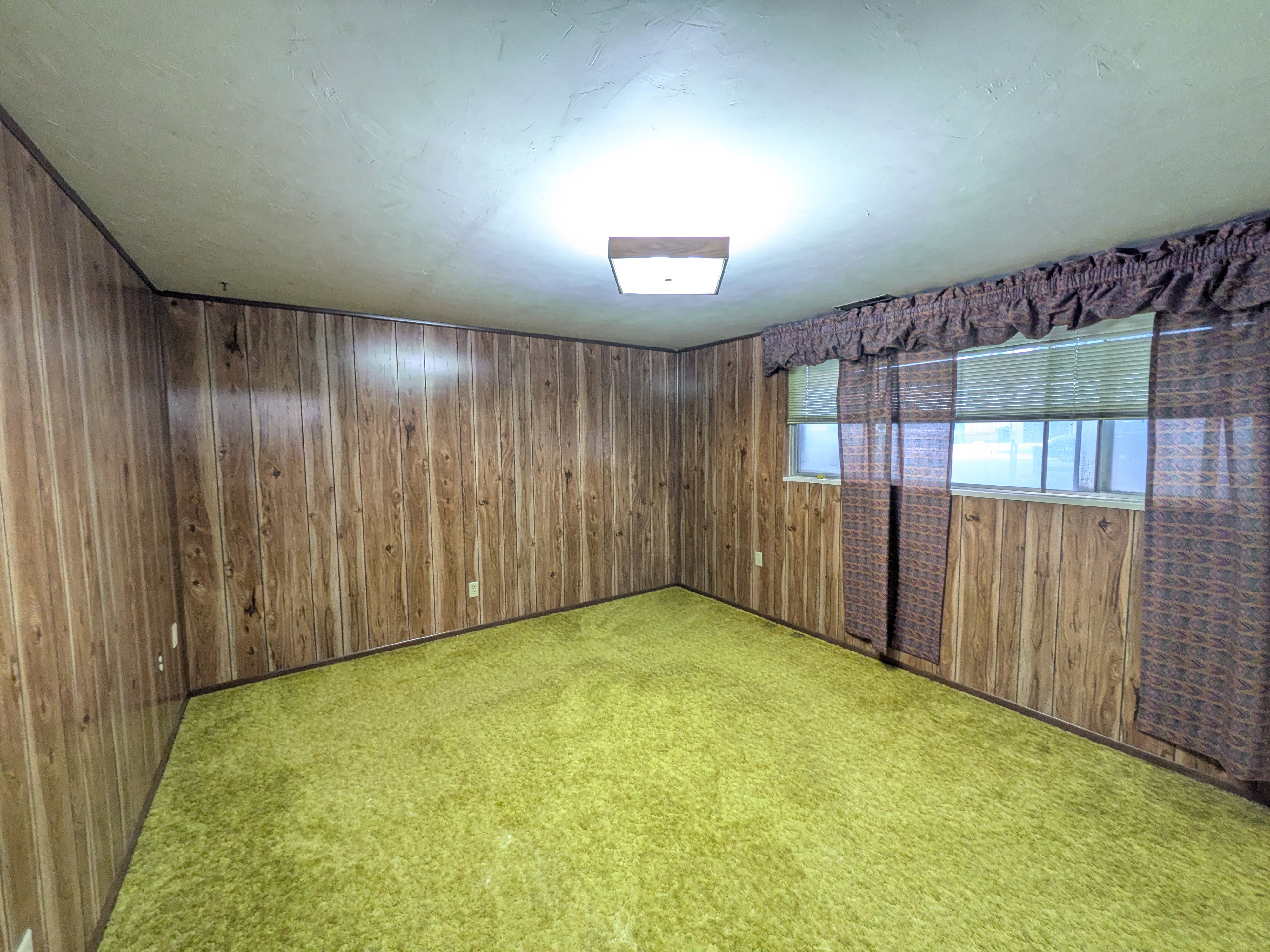 Room featuring wood-finish wall paneling, a lime green carpet, and a ceiling-mounted light fixture