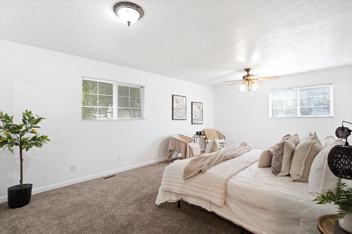 Bright room featuring white walls, textured carpeting, and multiple windows