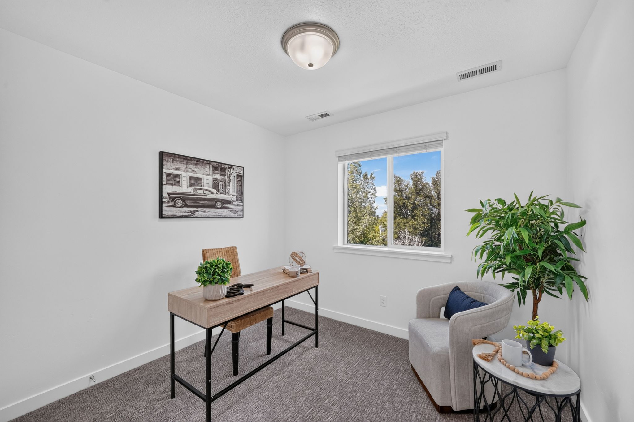 Bright room featuring neutral wall paint, a single window, and textured carpeting