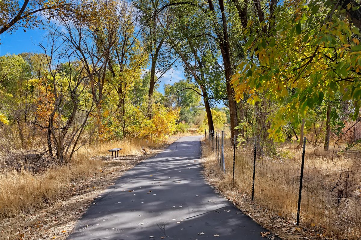 Paved pathway bordered by mature trees and natural landscaping