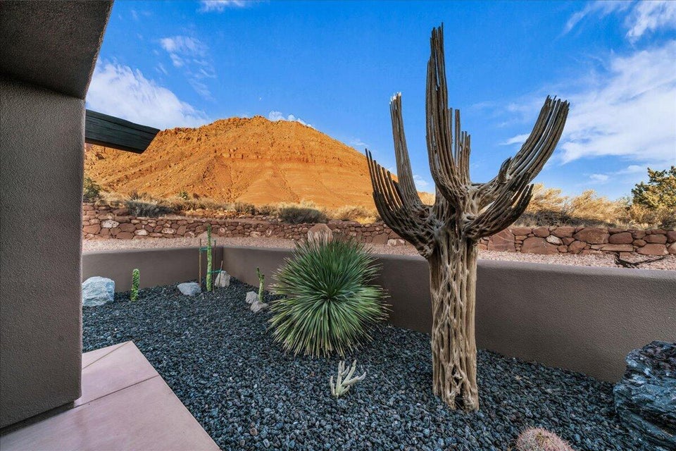 Desert landscape featuring a striking saguaro skeleton, dark gravel ground cover, and various cacti