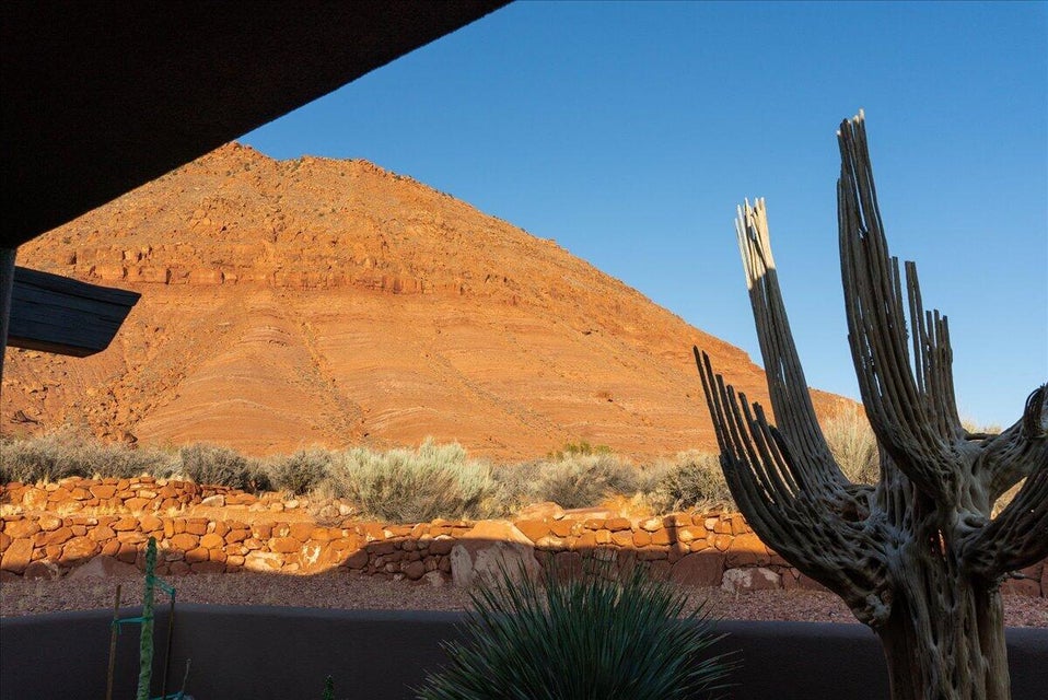 Red rock mountain backdrop with desert flora