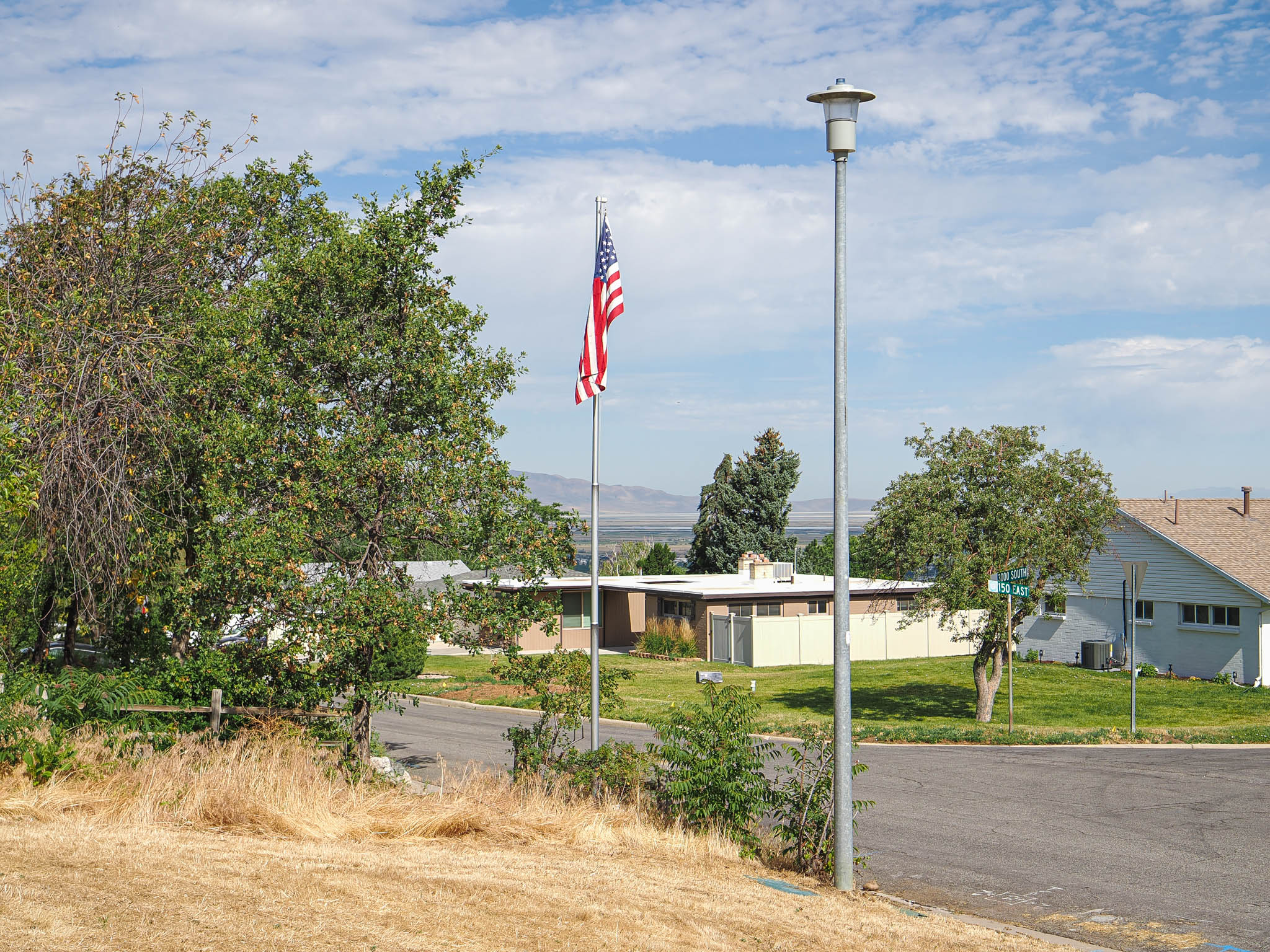 Street scene featuring mature trees, a paved roadway, and distant architectural elements under a partly cloudy sky