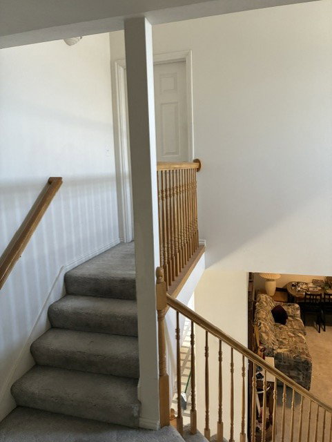 Carpeted staircase with wood-finish handrails and balusters