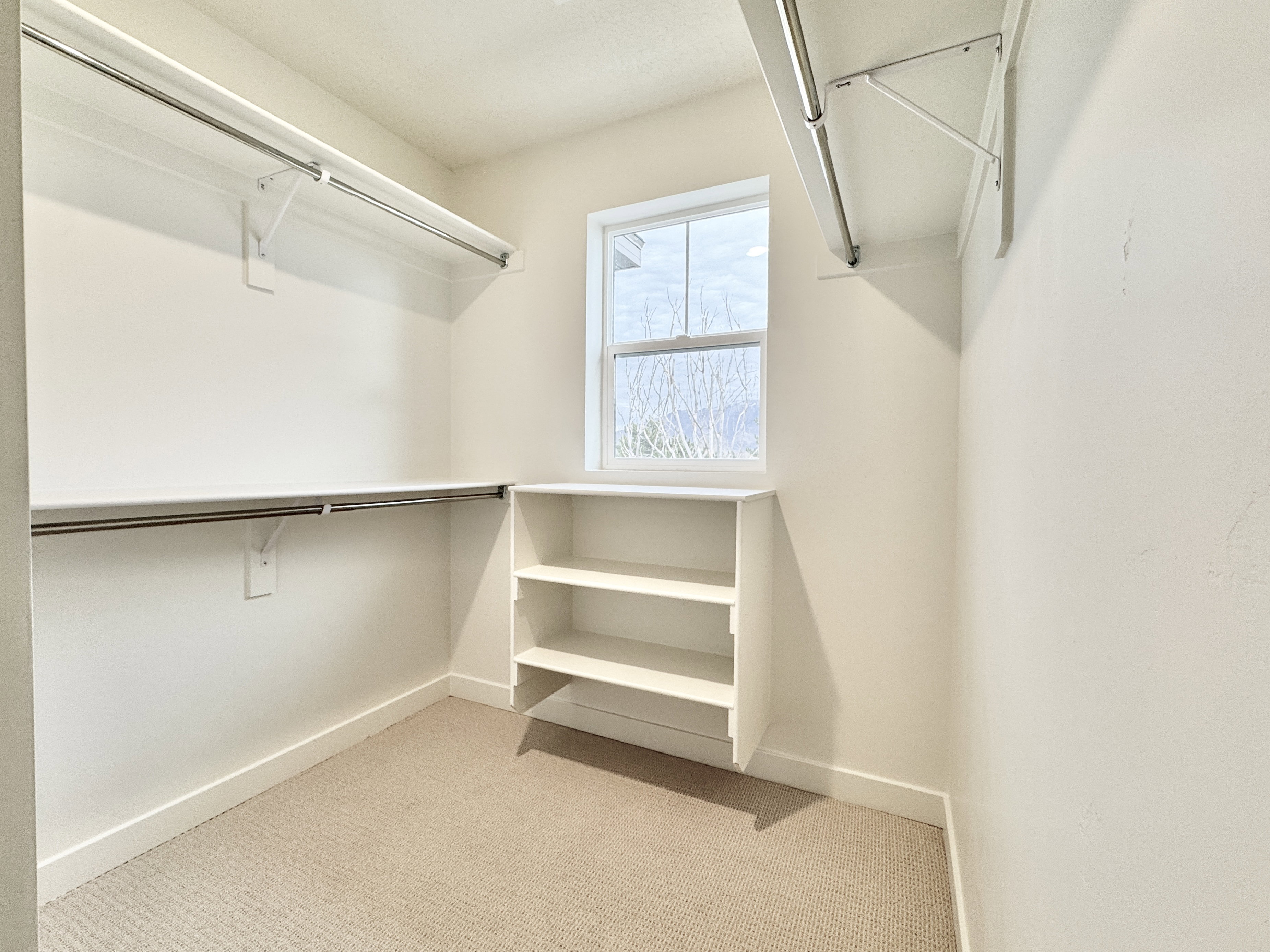Walk-in closet featuring built-in shelving, hanging rods, an exterior window, and carpeting