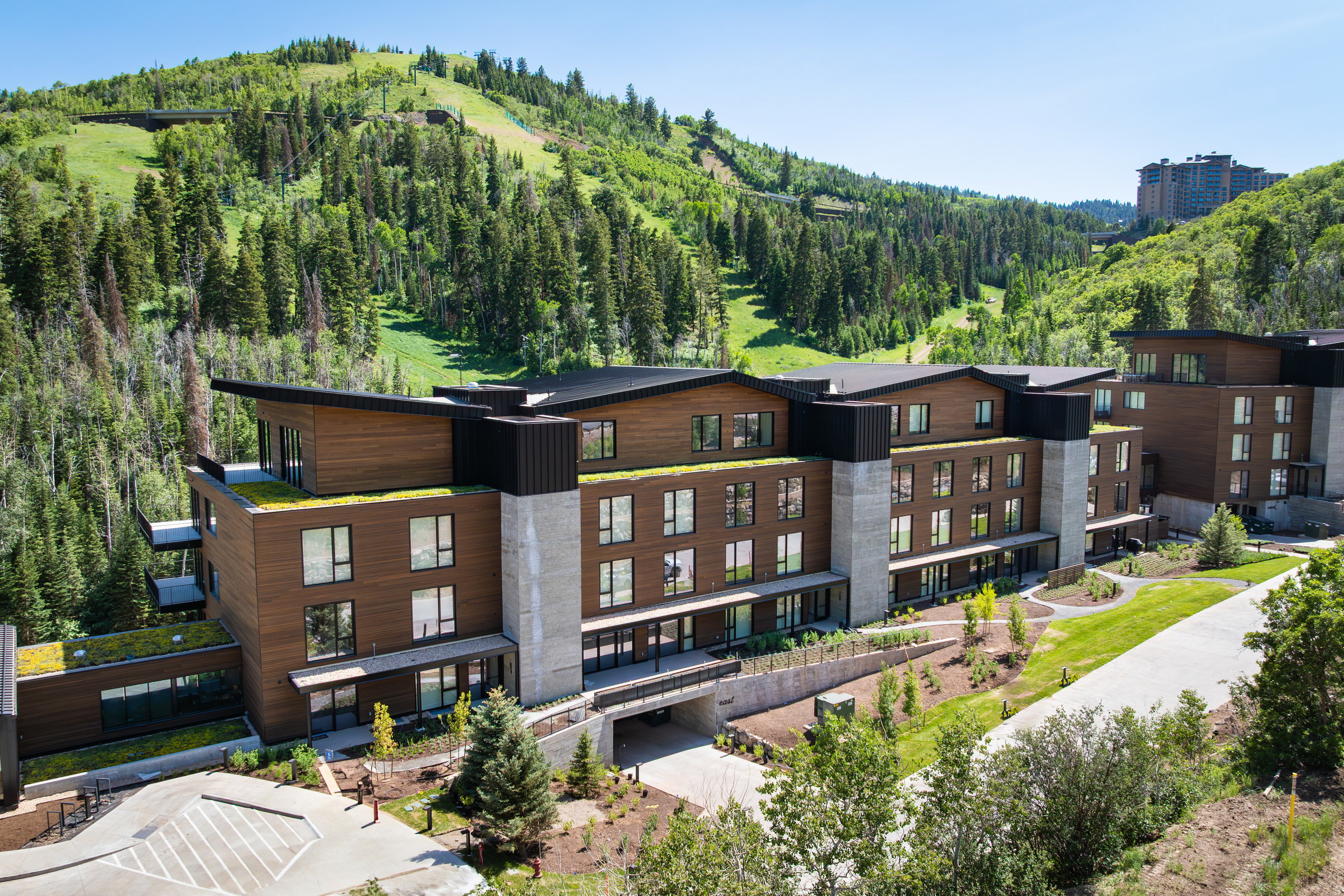 Modern multi-story building featuring wood-finish siding, concrete structural elements, and a green roof system